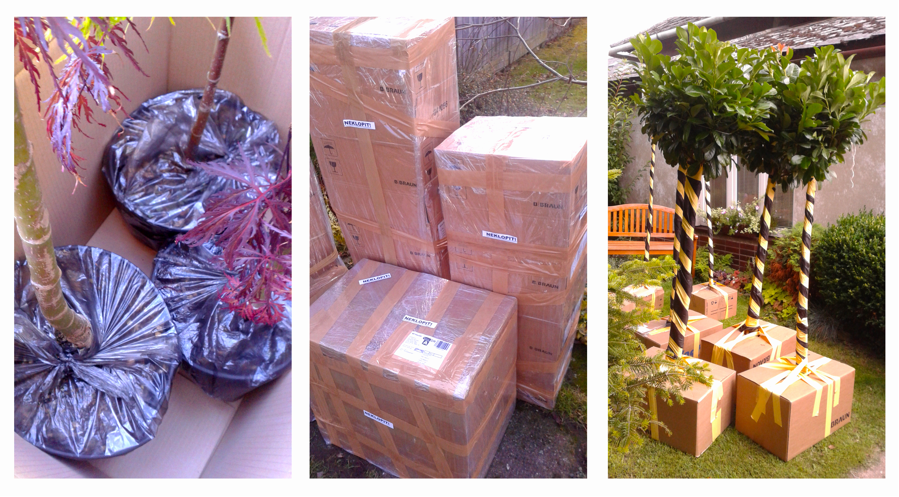 Zahradnictvieshop.cz foto 3