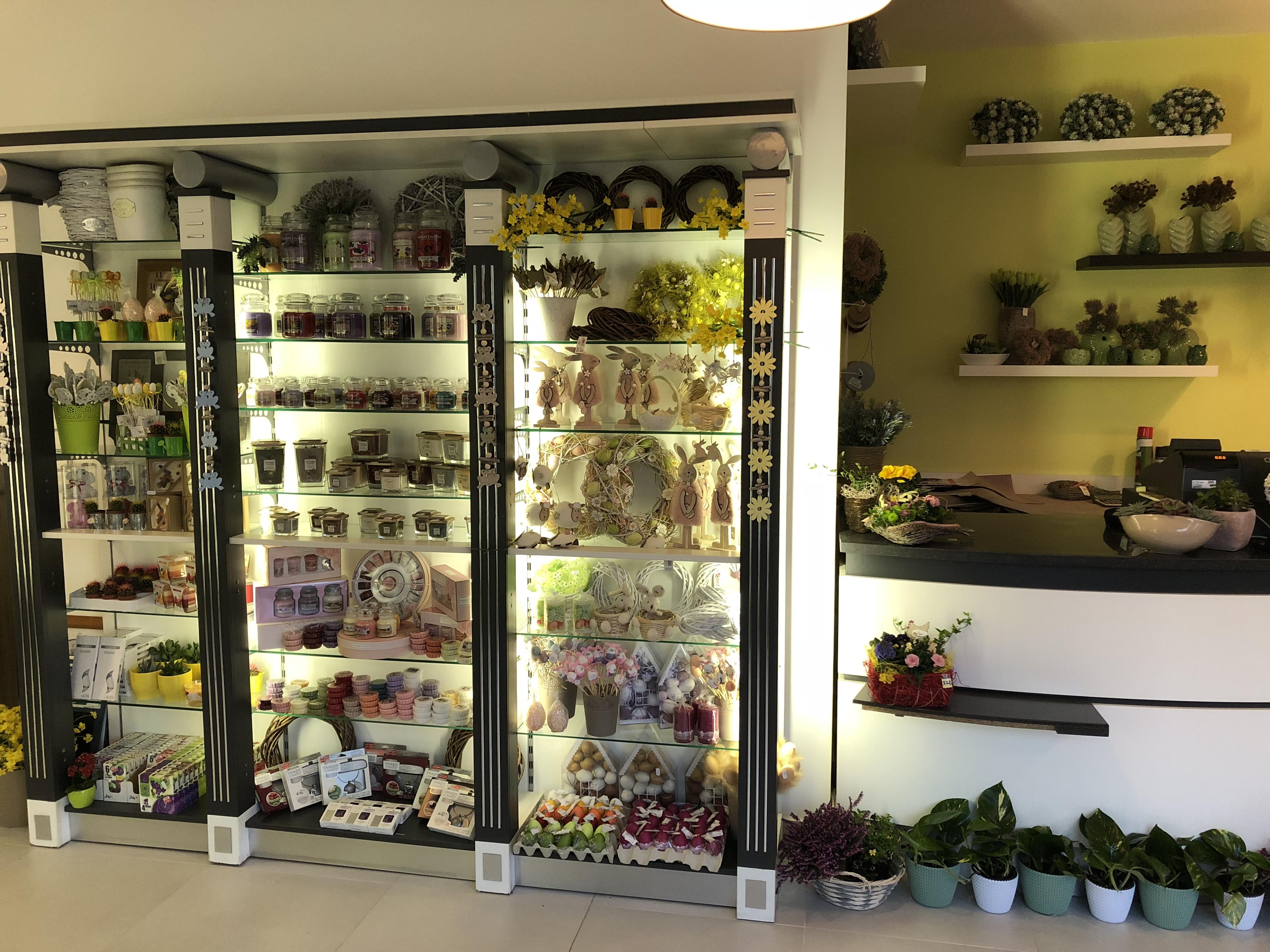 KVĚTINY ALBRECHTOVÁ foto 3