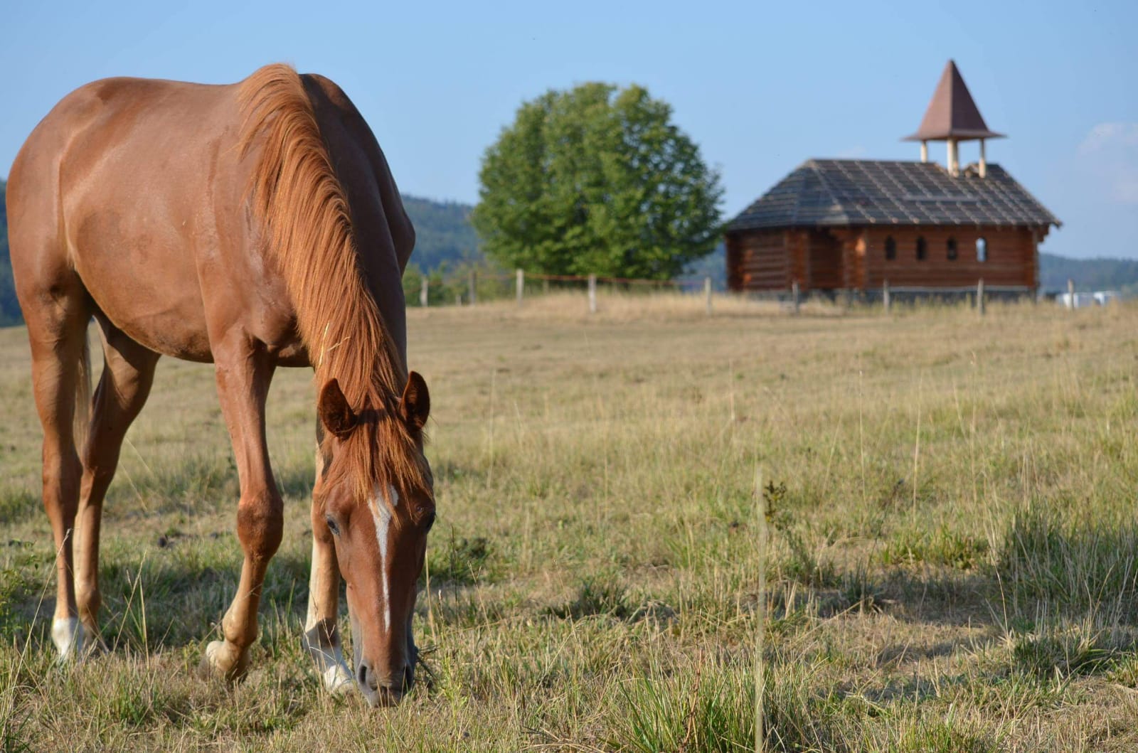 Ranč v Buši foto 3