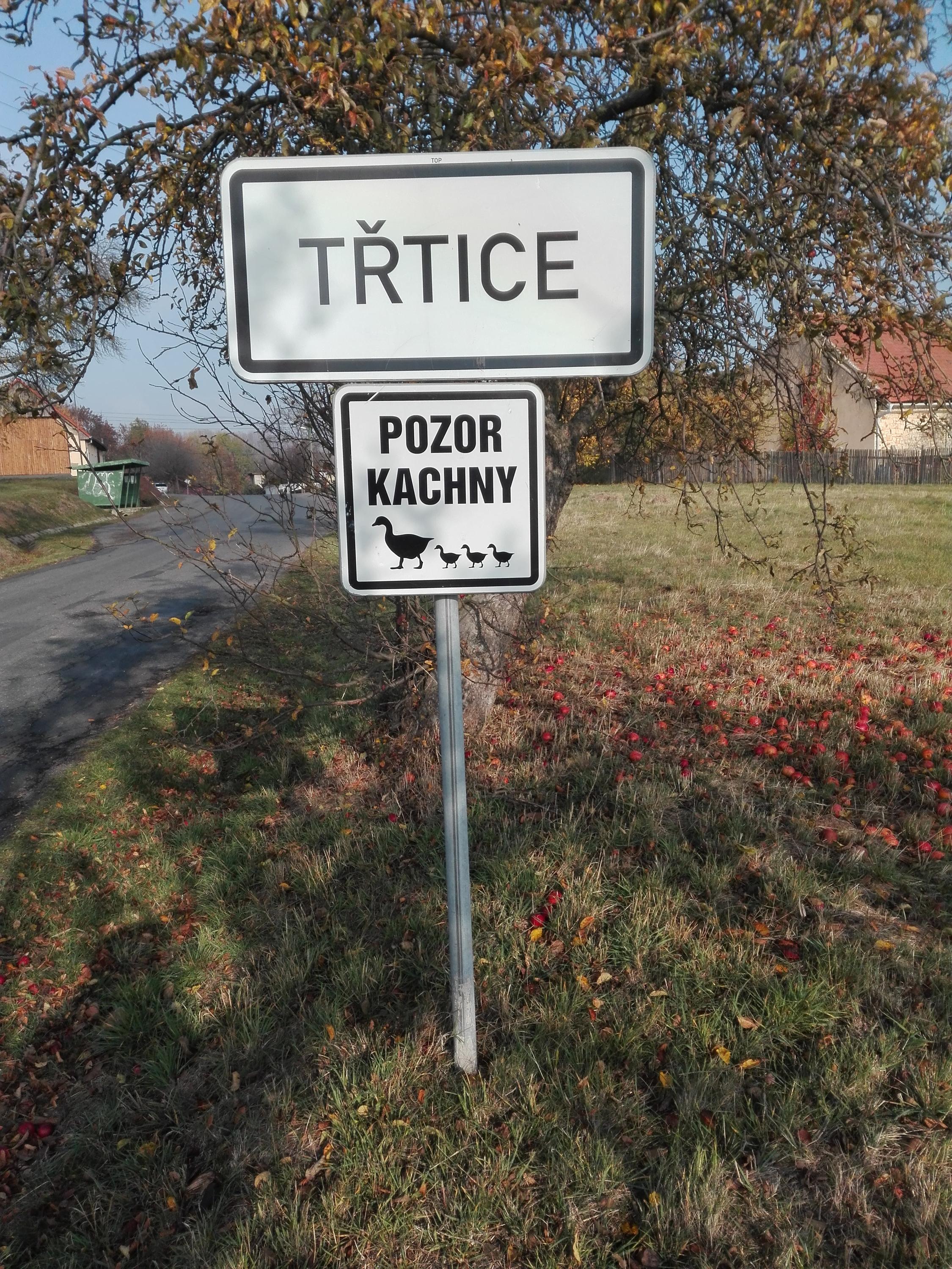 Třtice - obecní úřad foto 2