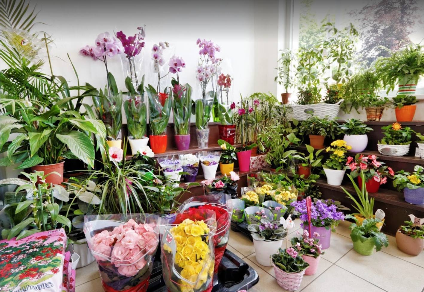 Květiny - Ivana Slavovová foto 4