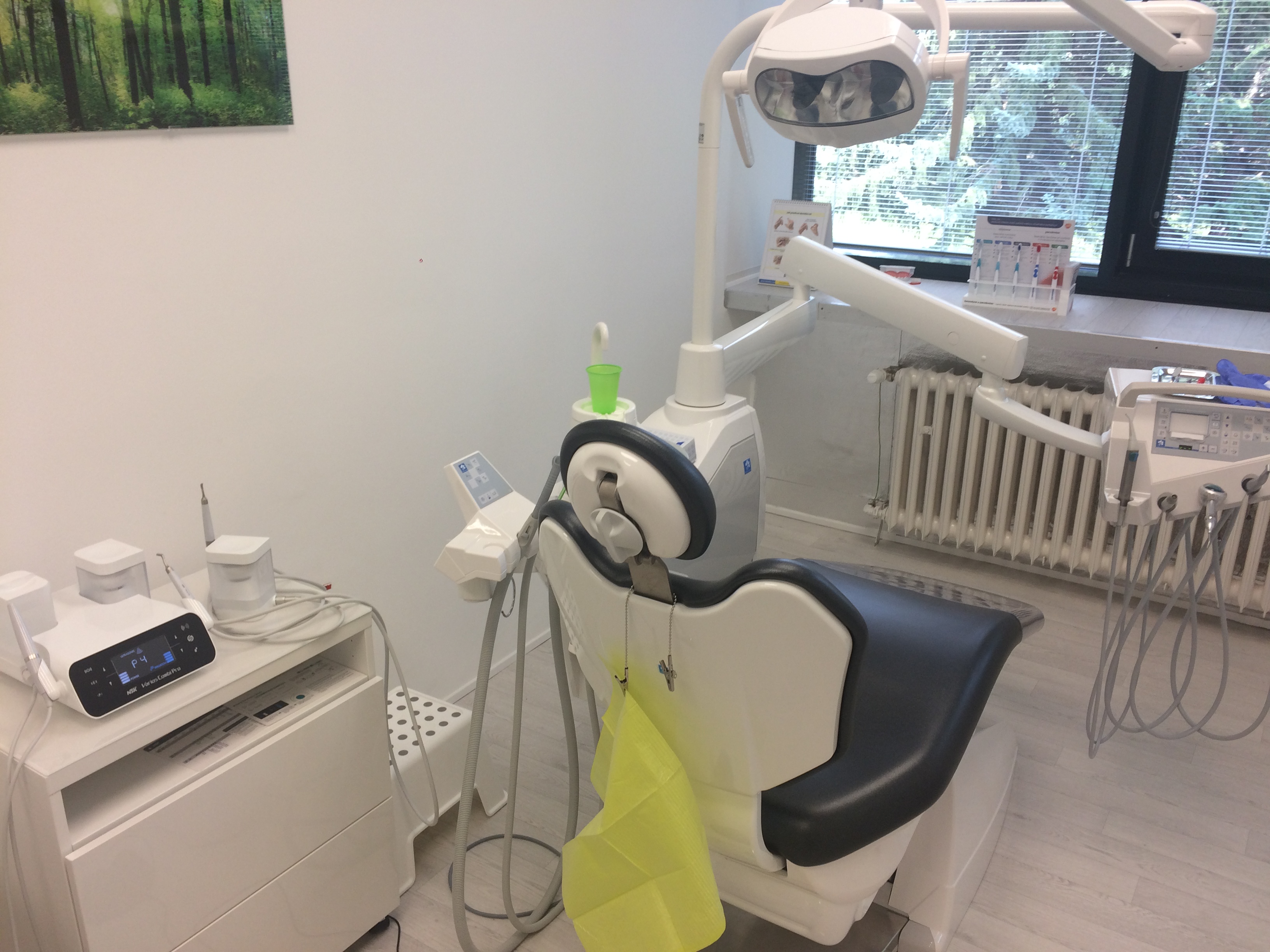 Dentální hygiena Šárka Wilhelmová, DiS. foto 4