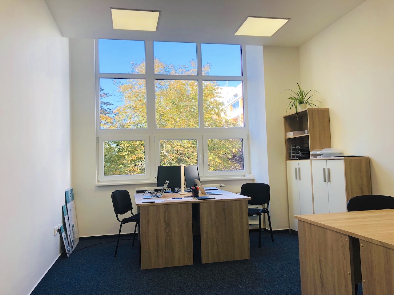 Adomus - reality jinak MAKO foto 3