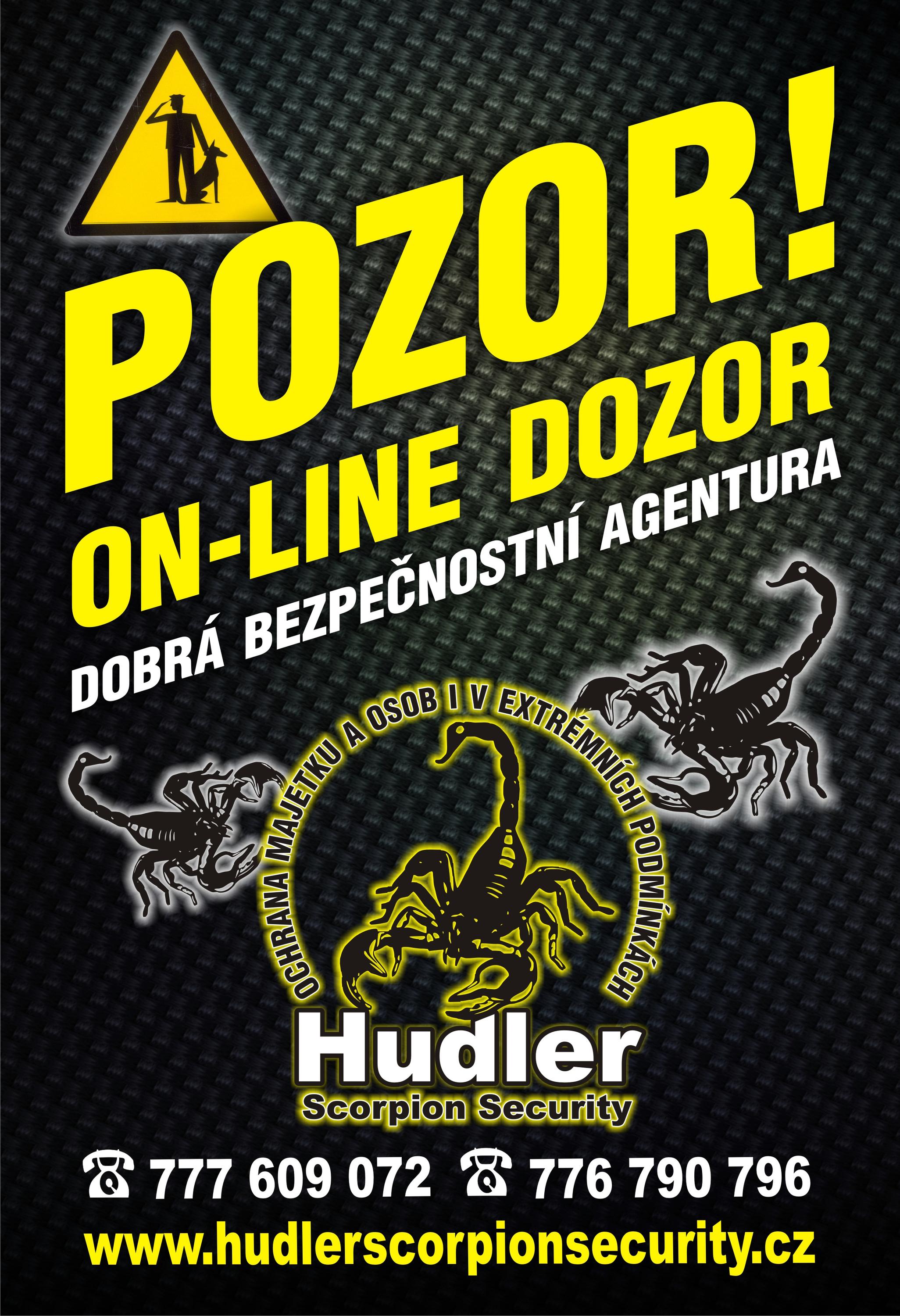 Hudler Scorpion Security foto 2