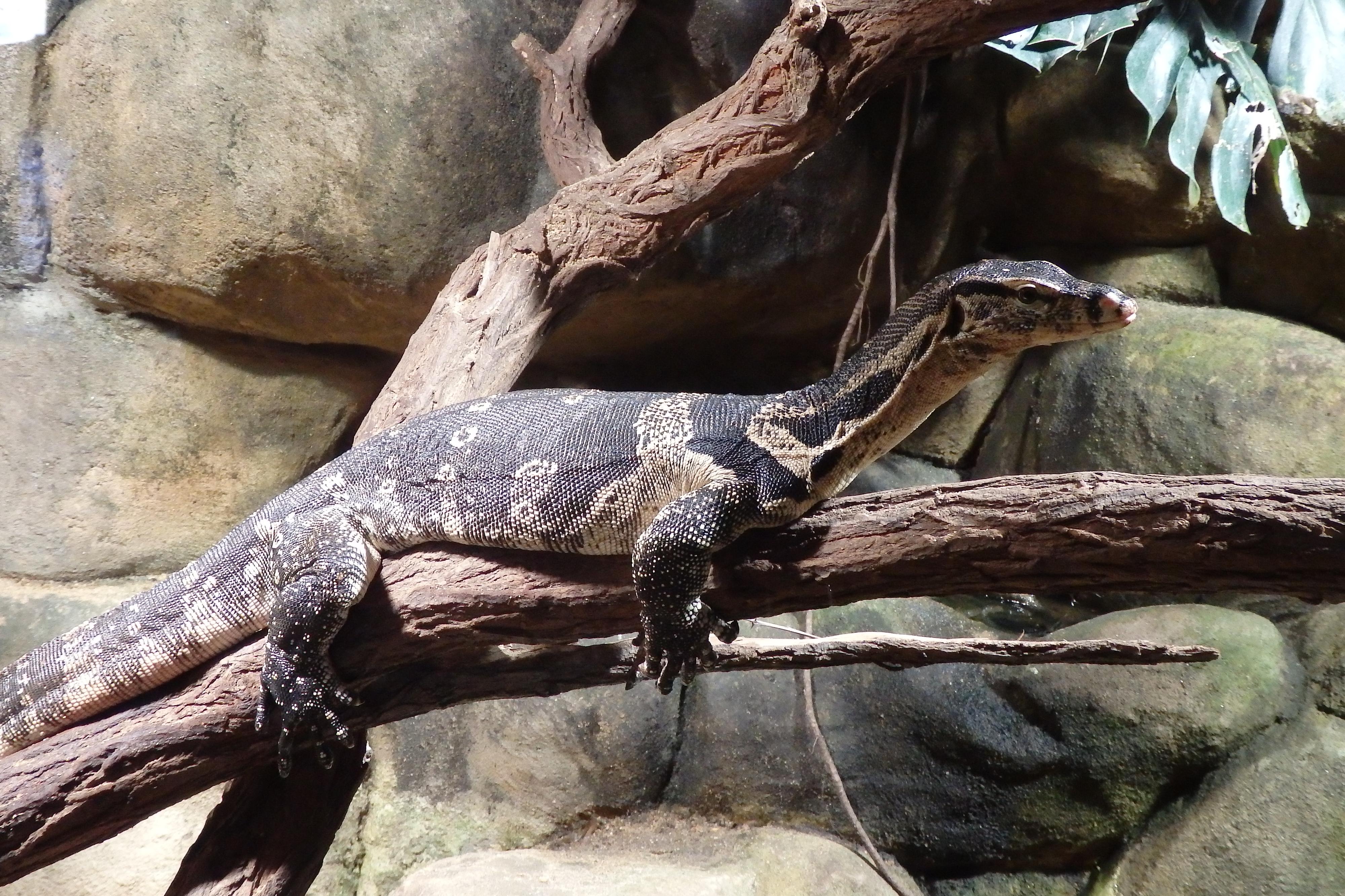 Akva Tera Zoo Plzeň foto 4
