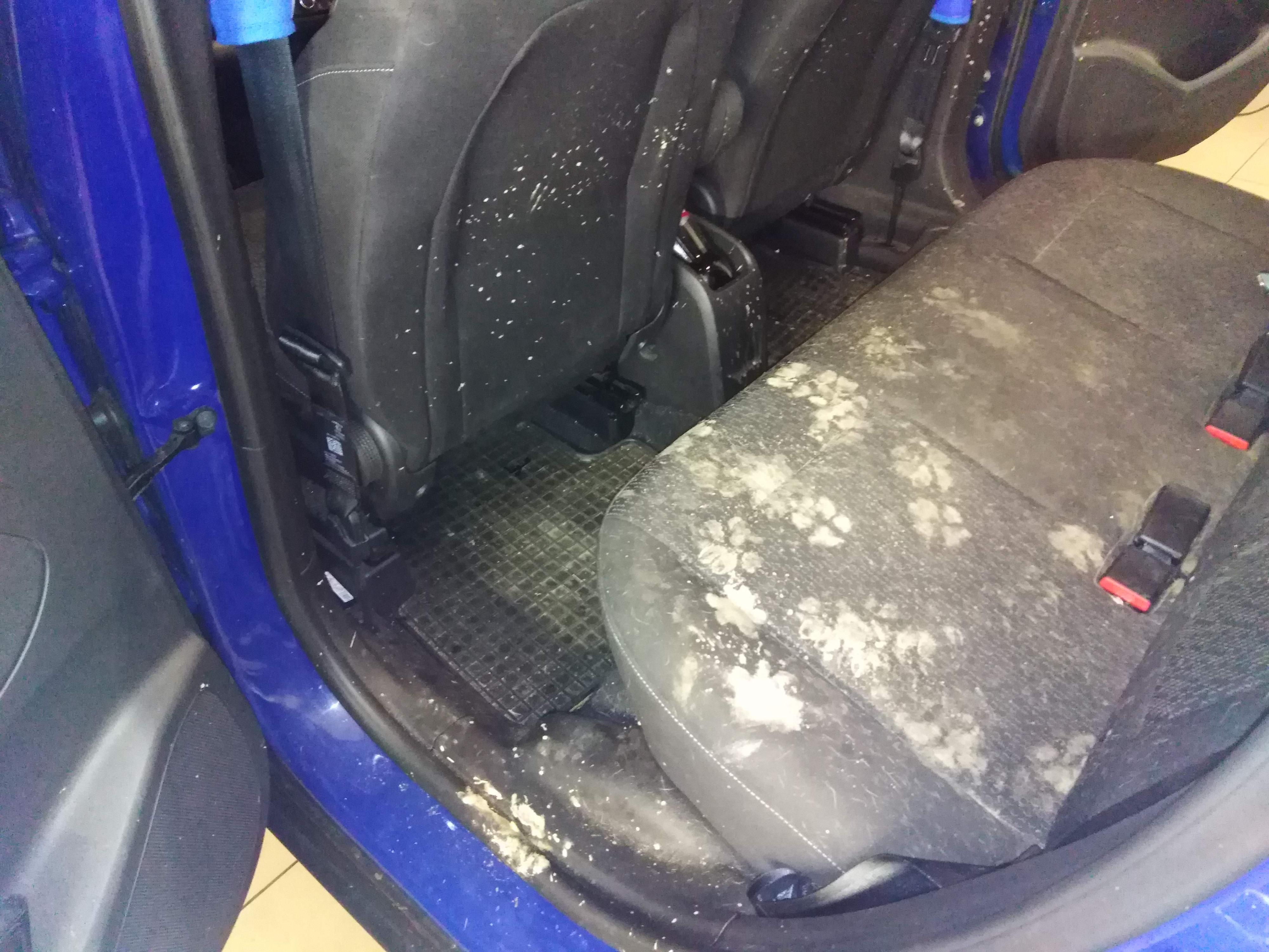 DTcars Transport s.r.o. čištění aut foto 6