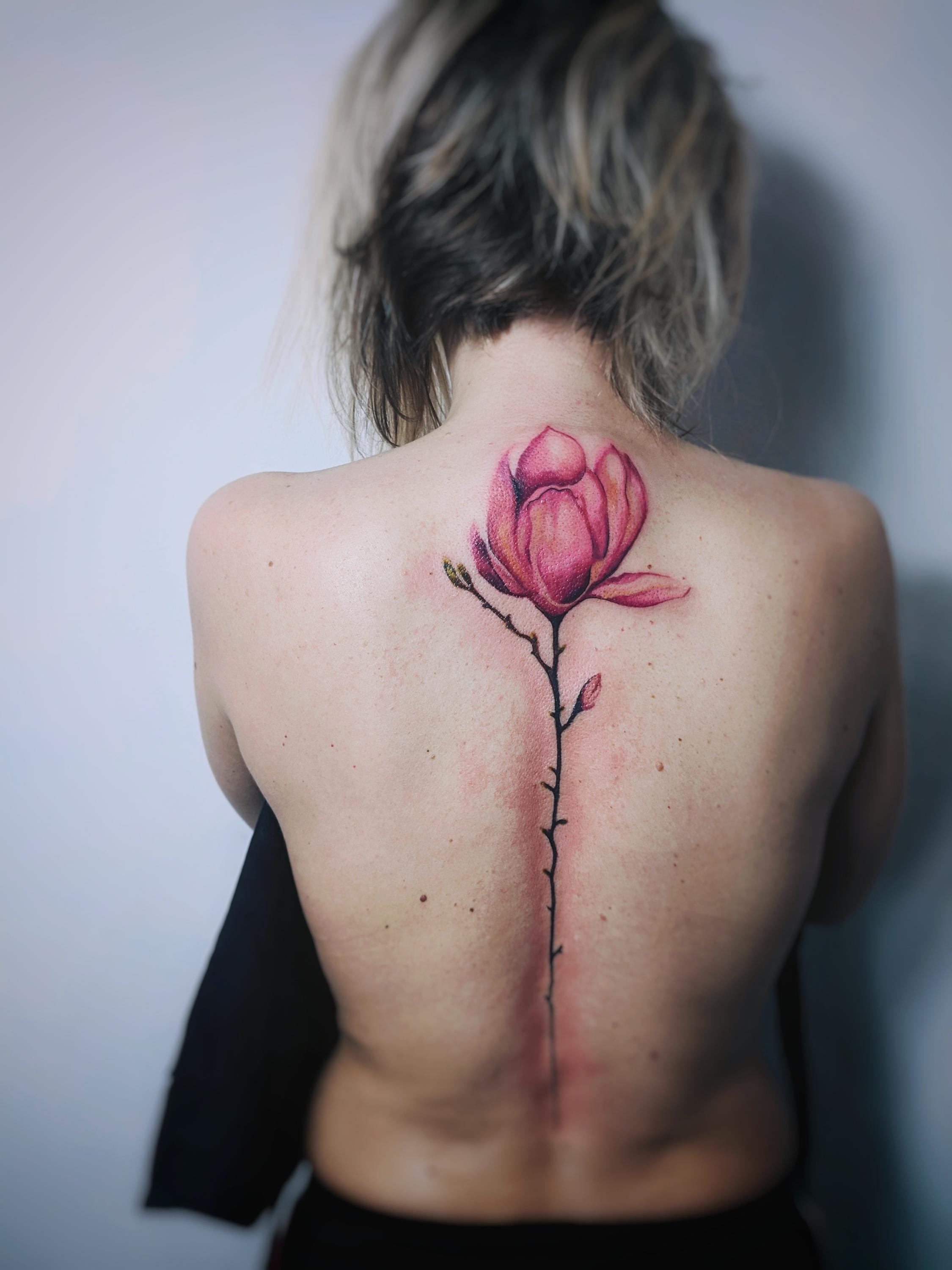 MisVys Tattoo a plecháčky foto 4