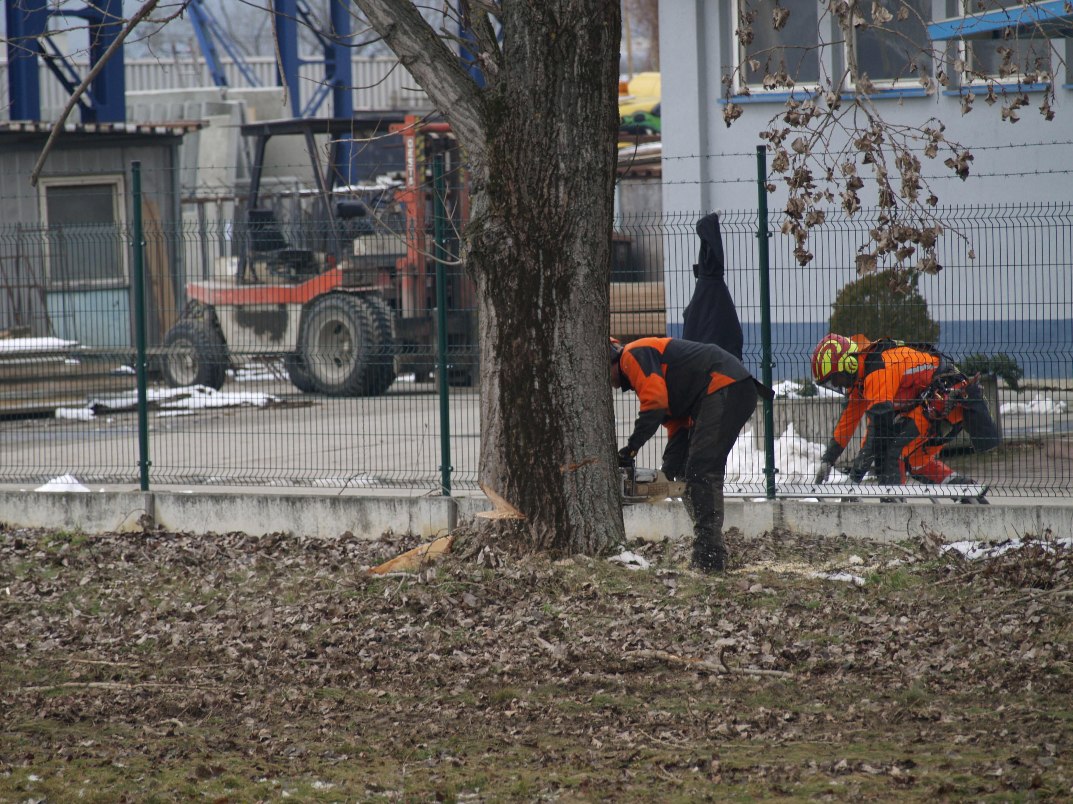 EXTRÉMNÍ ZAHRADY, s.r.o. foto 5