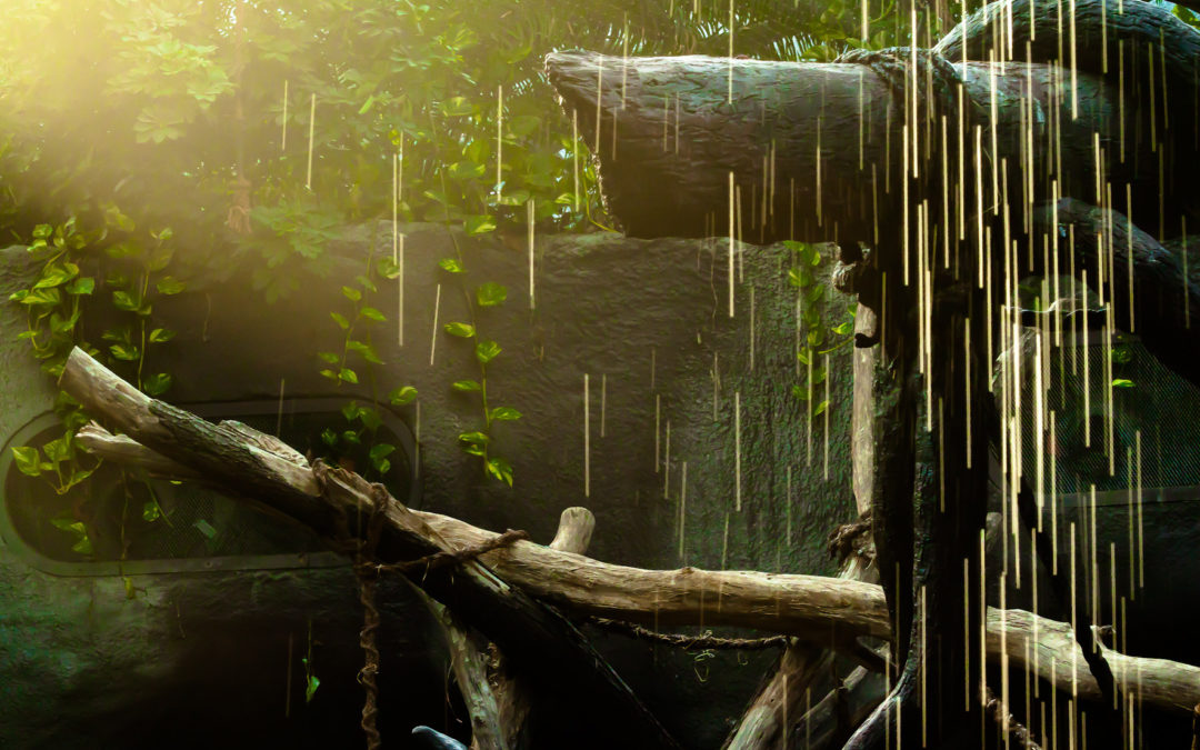 Ateliér fotografické praxe foto 2