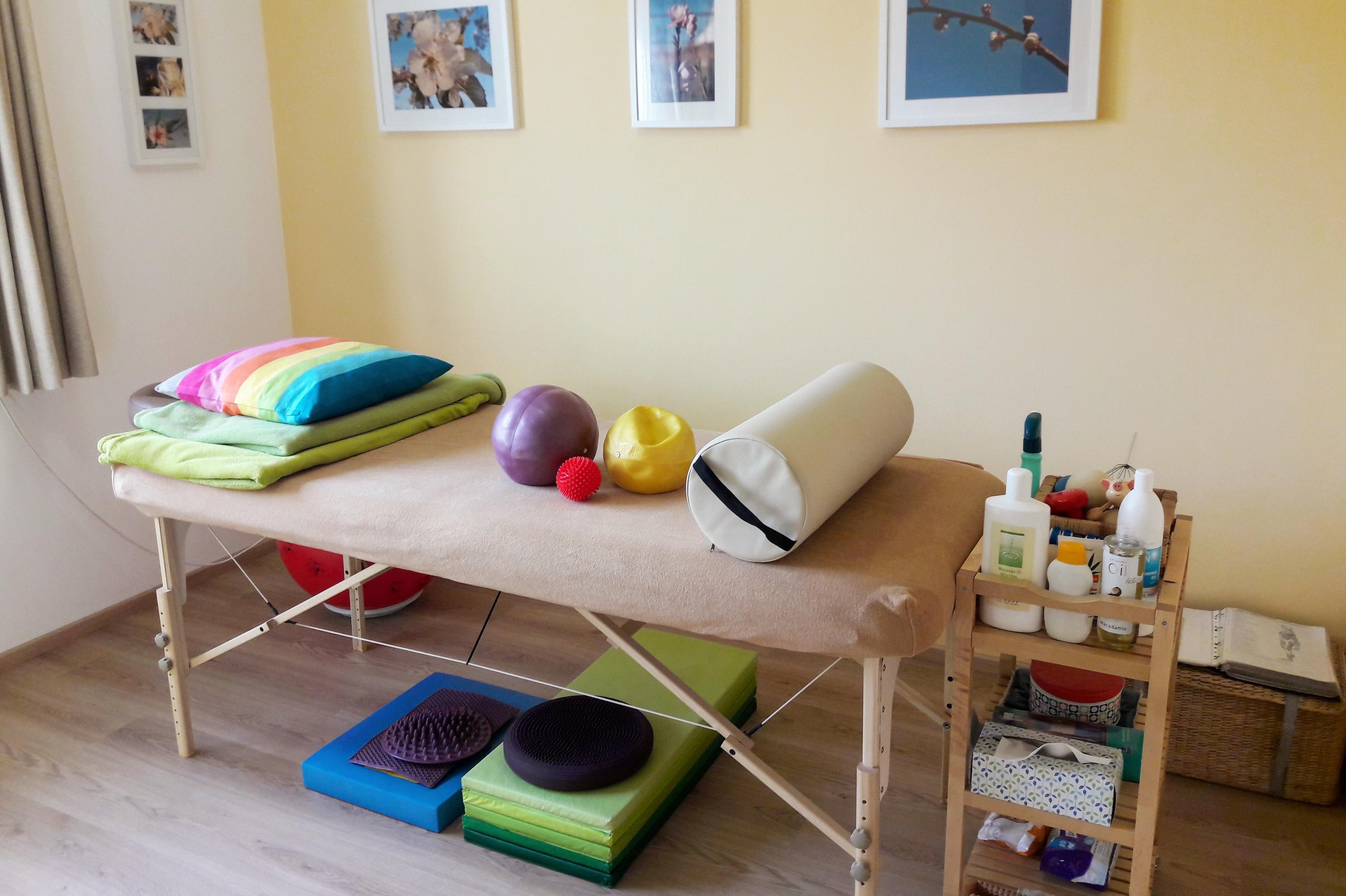 Lenka Pikhartová, DiS.