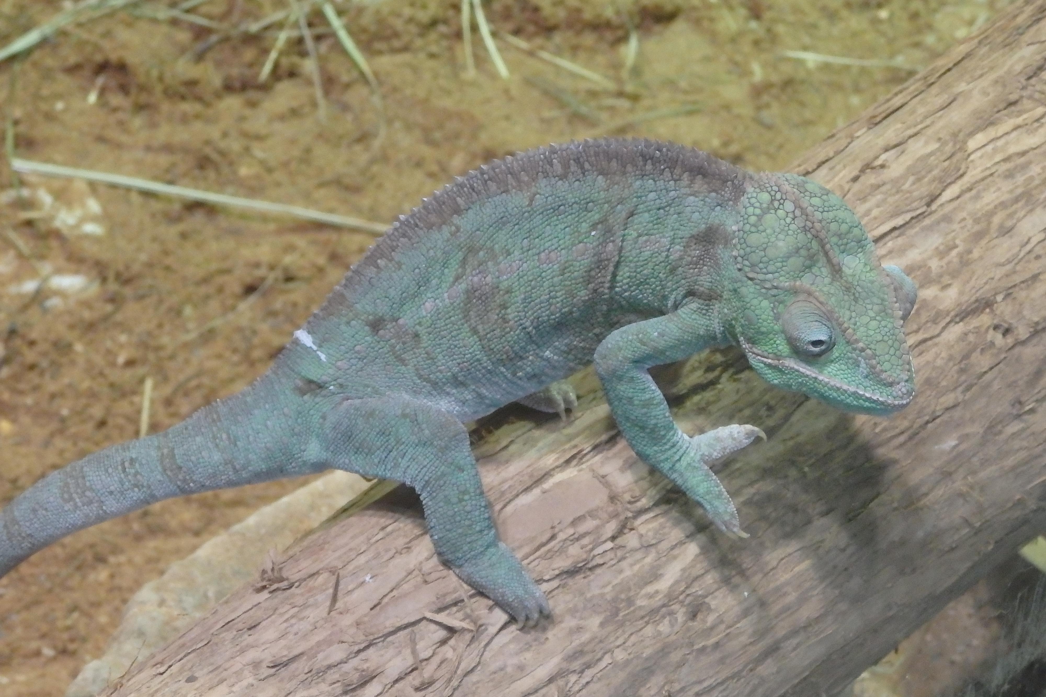 Akva Tera Zoo Plzeň foto 2