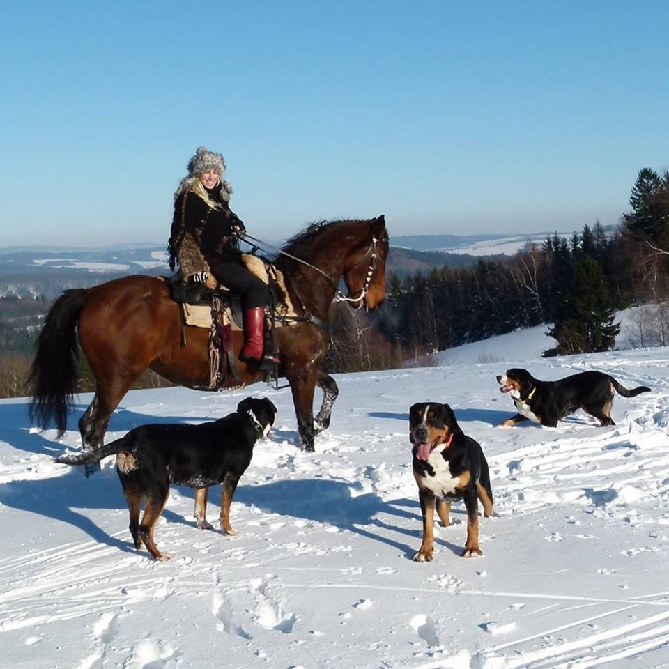 TUROVŠTÍ PSI - chovatelská stanice foto 2