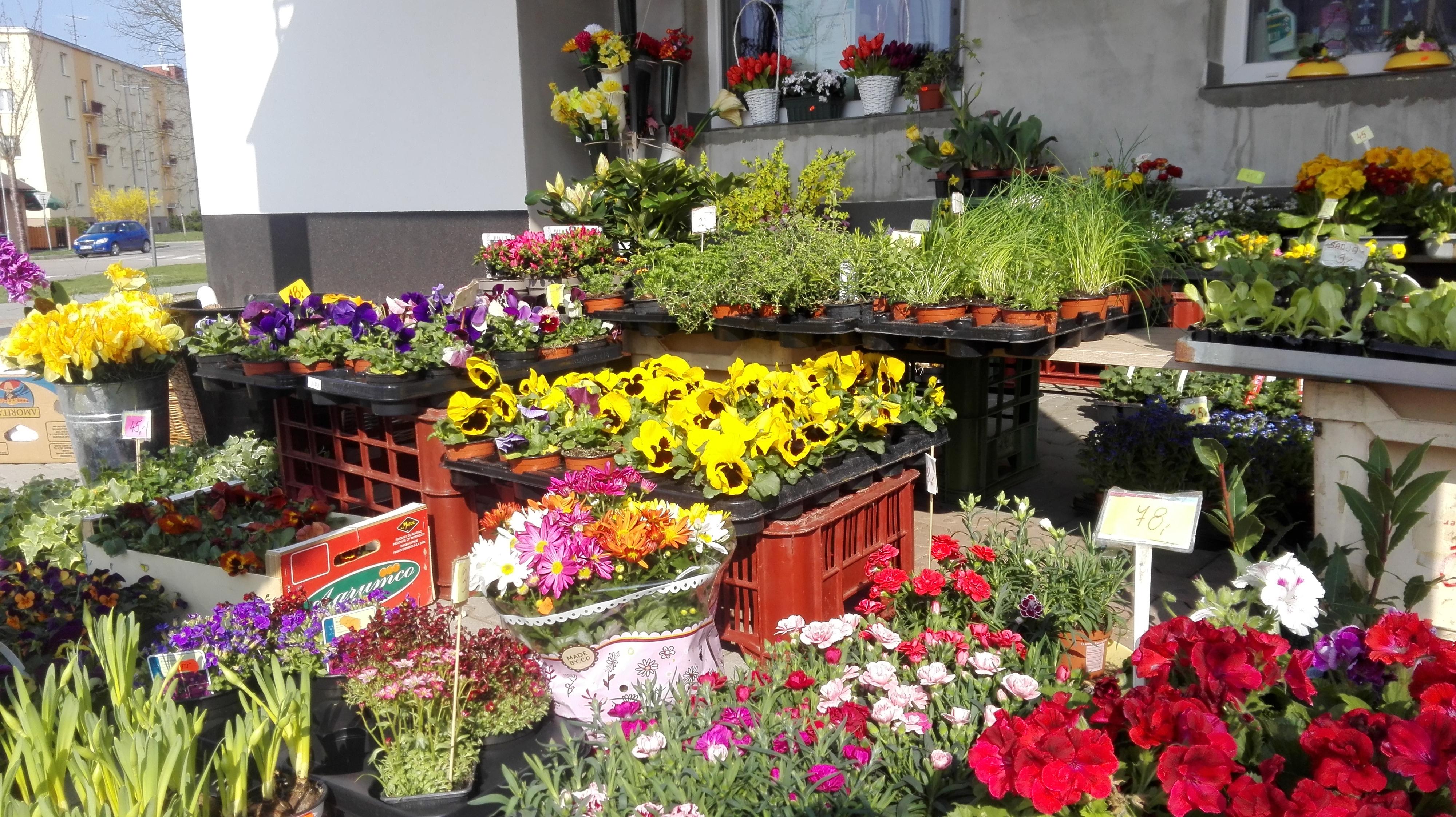 Květiny Iveta Uhlířová foto 4