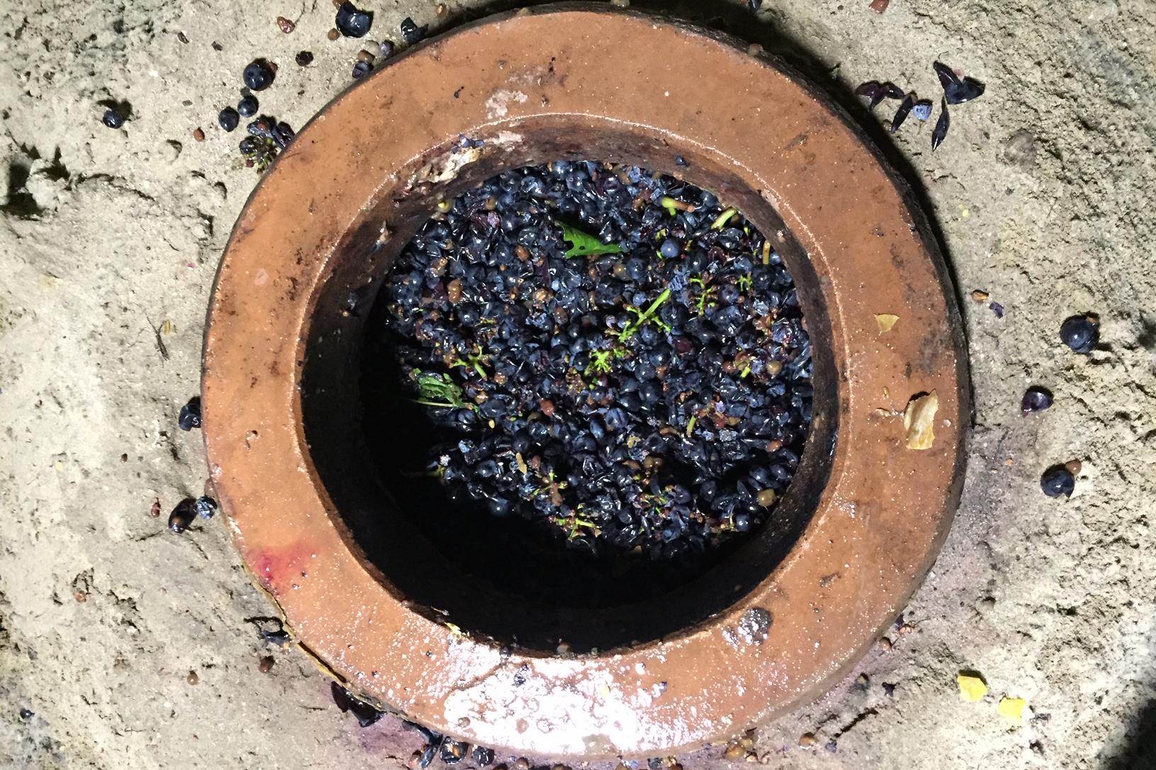 Martin Vajčner - vinařství