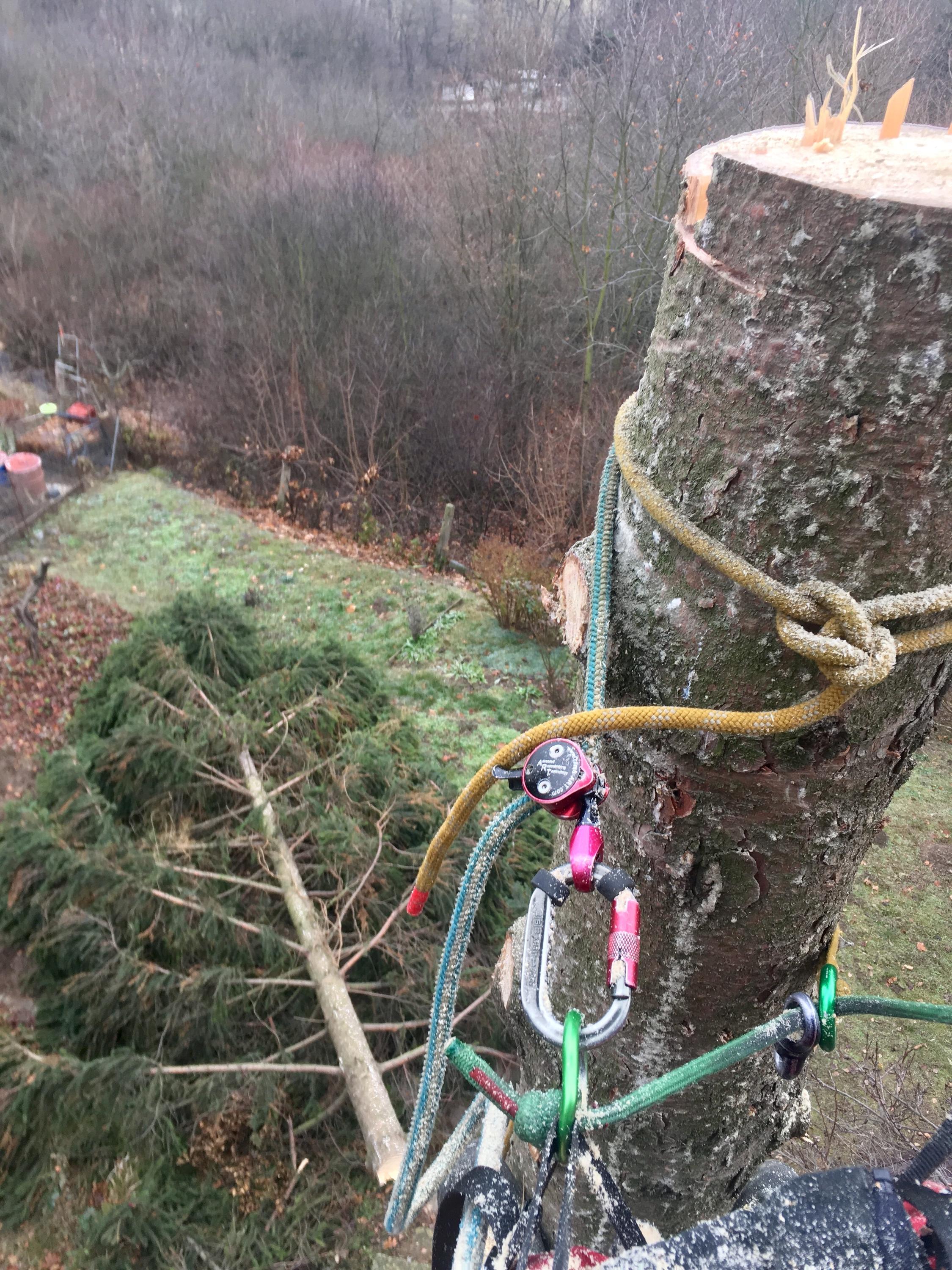 TREEZI Tomáš Zich foto 2