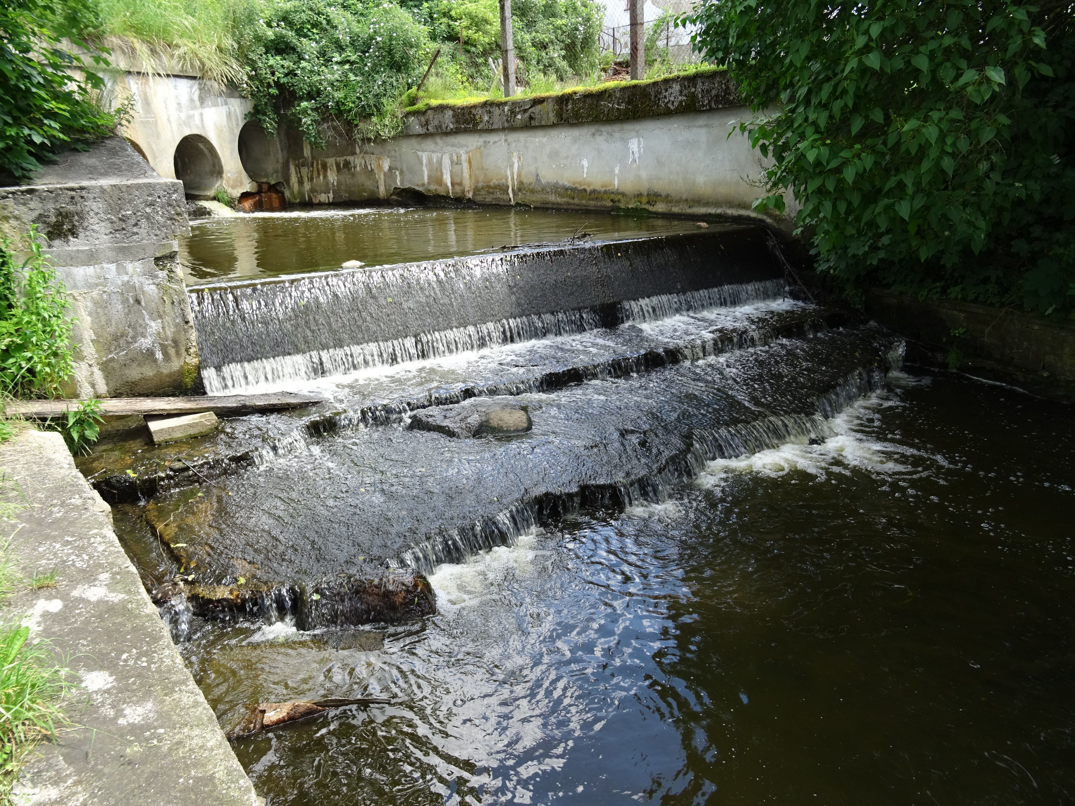 Kavárna Domlejna foto 2