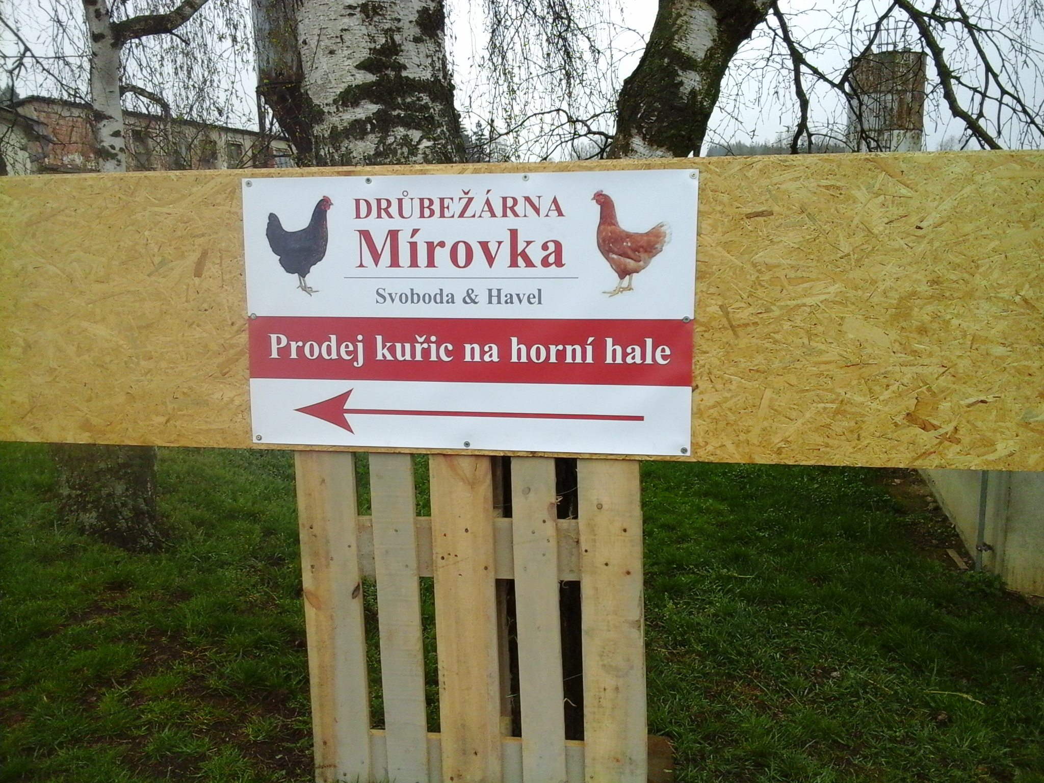 Drůbežárna Mírovka foto 3