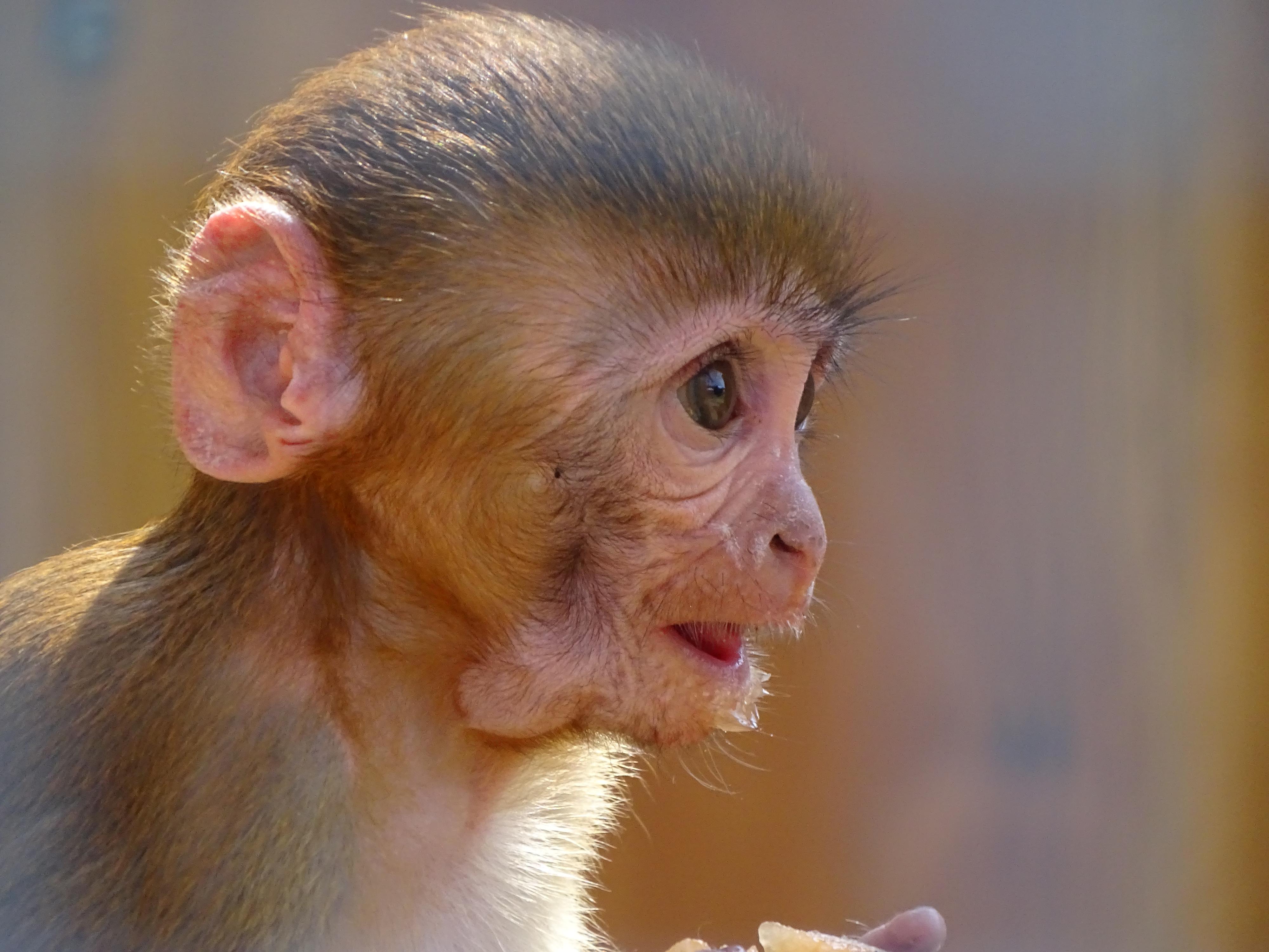 Rekreační park Karlštejn foto 2