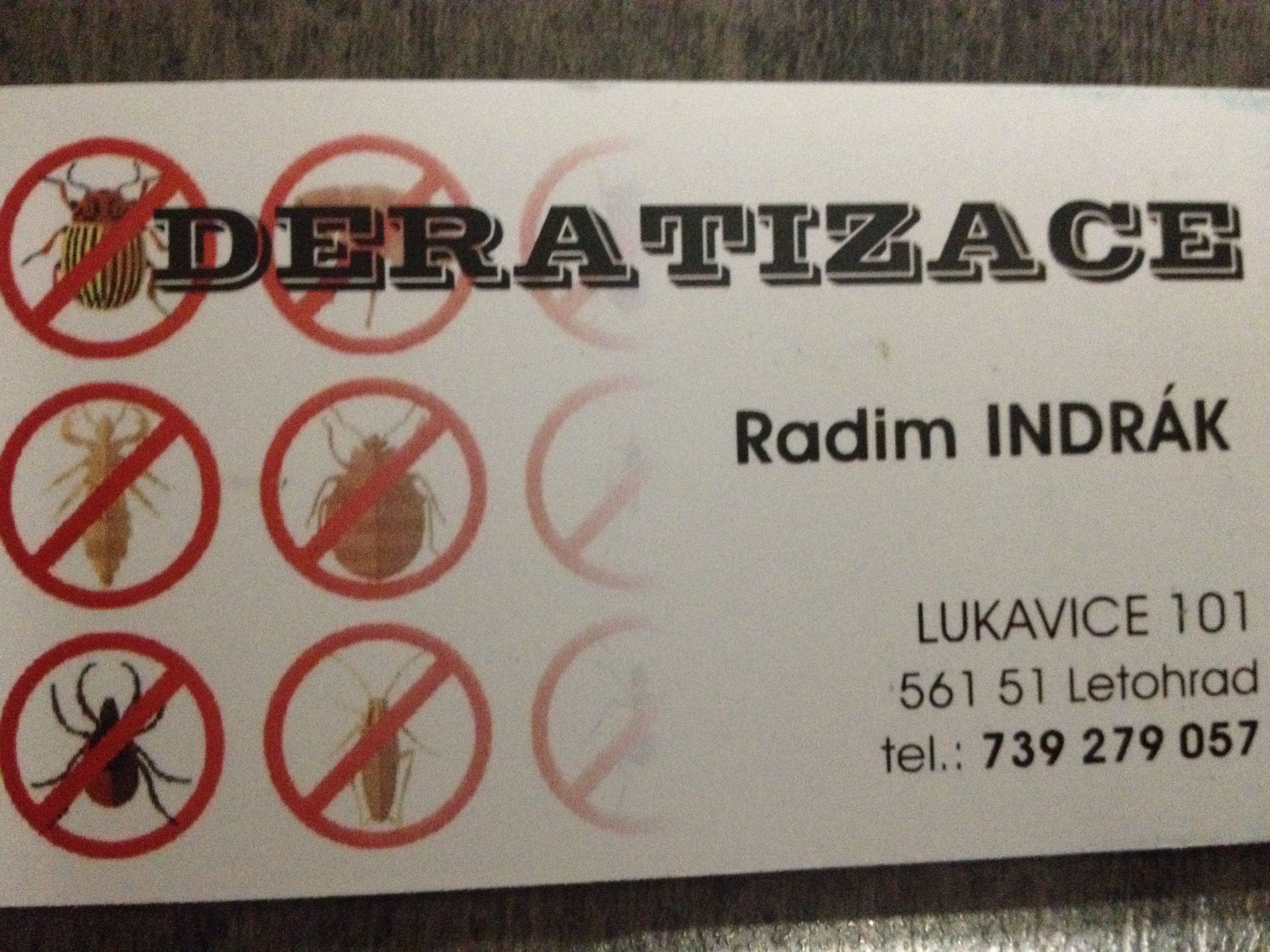 Radim Indrák foto 2