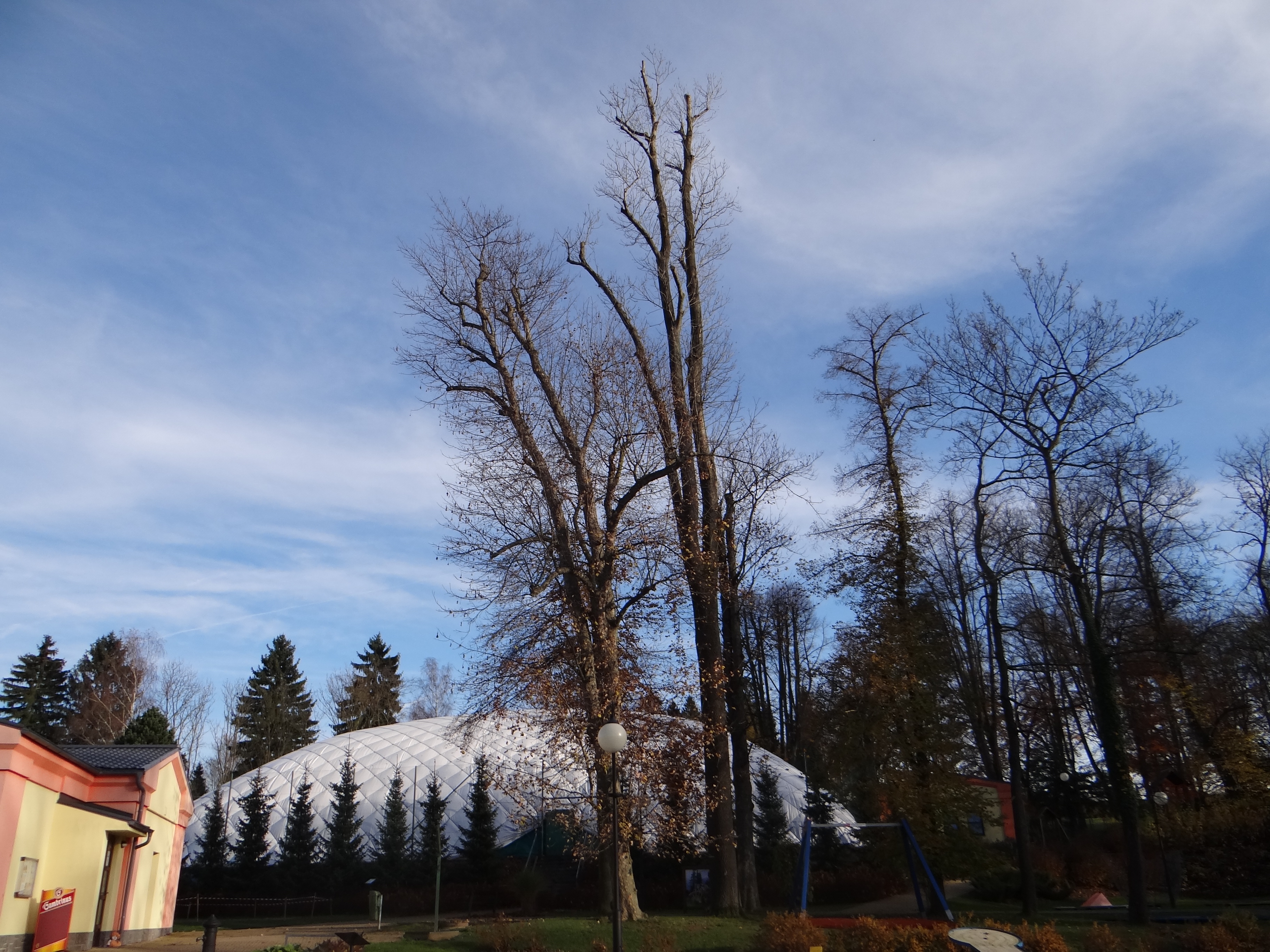 Město Krásná Lípa - Tenis foto 2