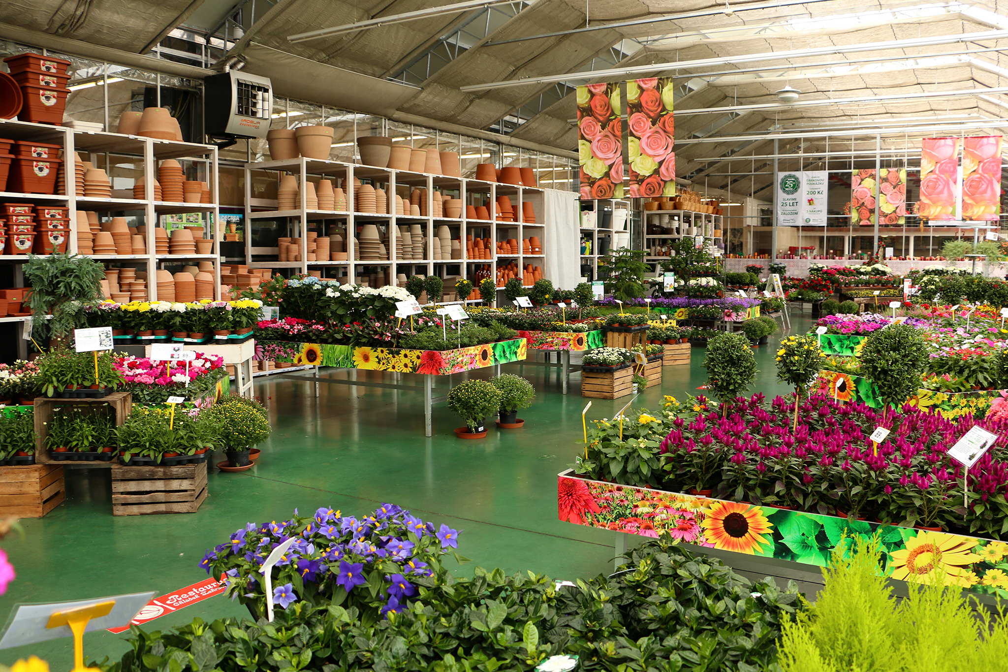 Zahradnictví Chládek foto 4