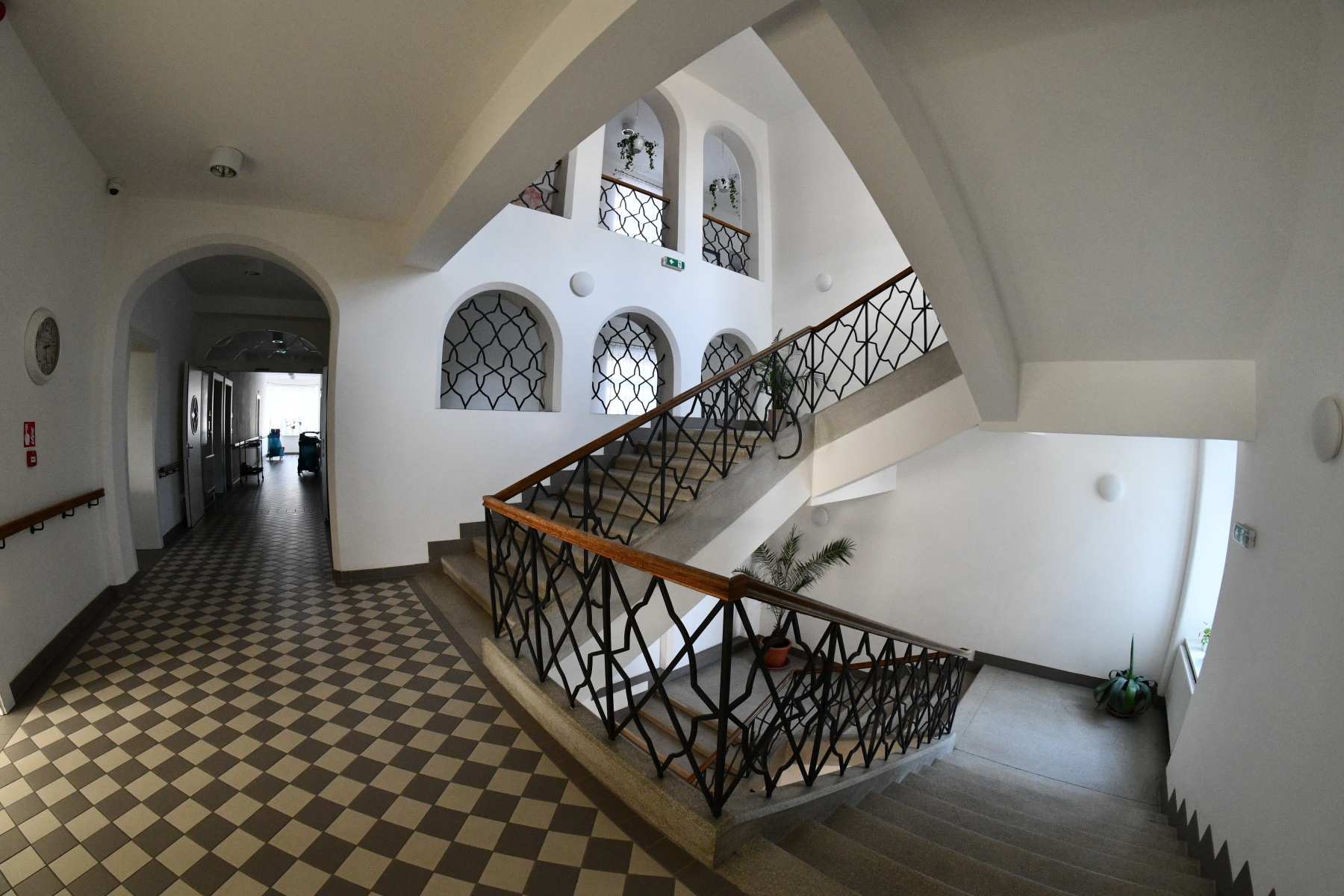 Domov Vesalius foto 1