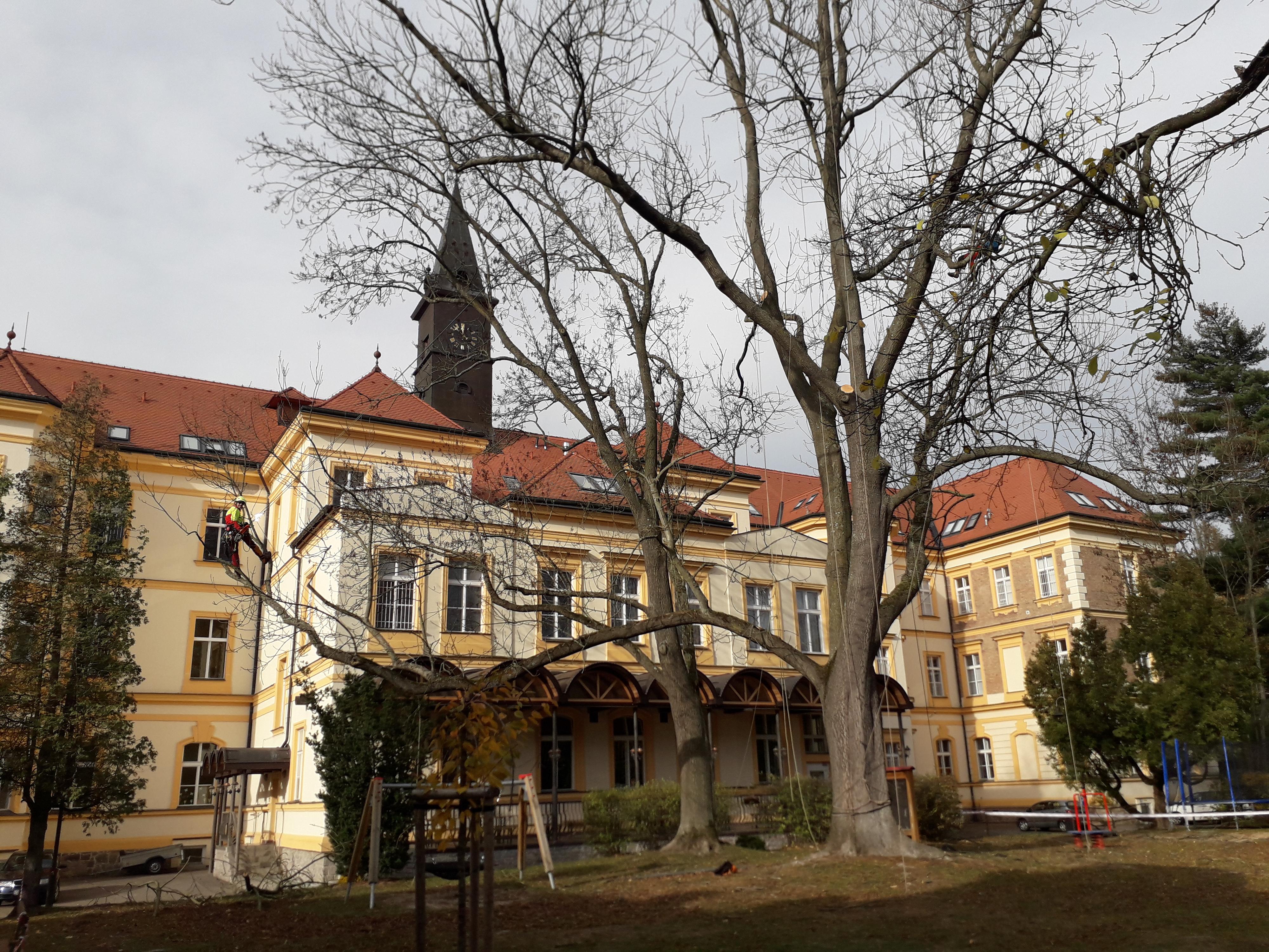 Prorezstromu.eu foto 4