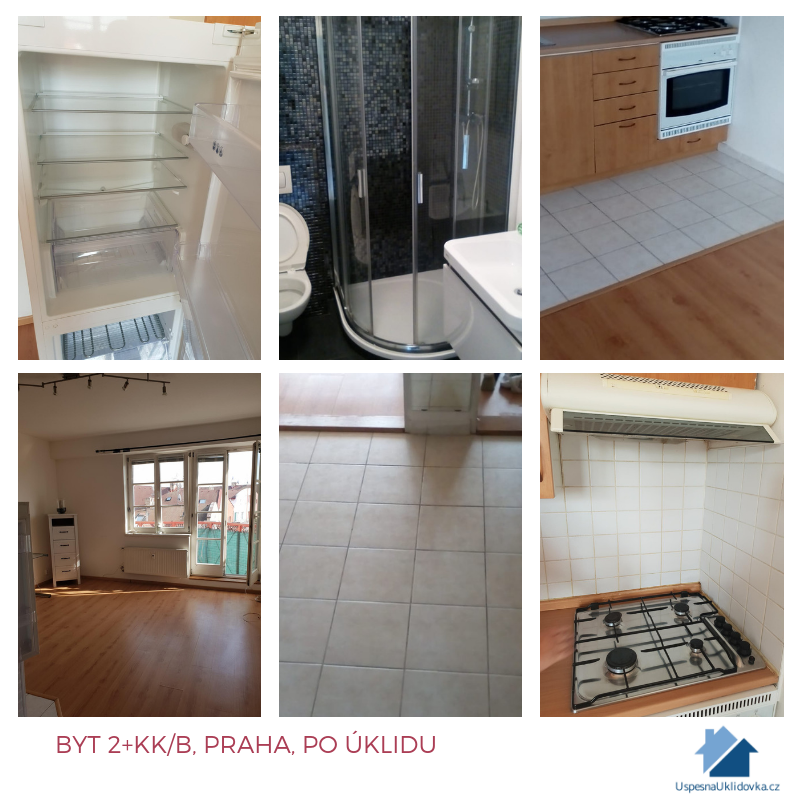 Úspěšná Úklidovka - Success Clean foto 3