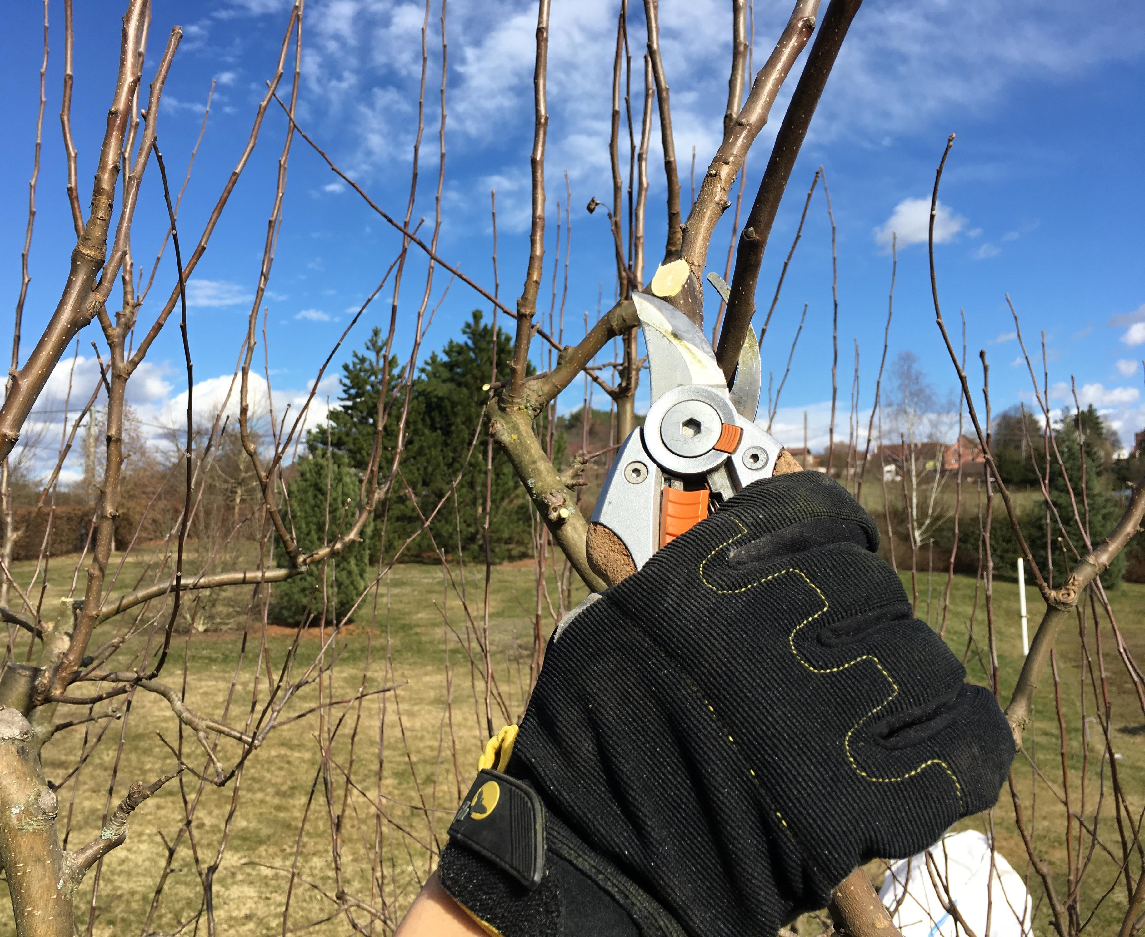 Zahradnické práce Pokorný foto 2