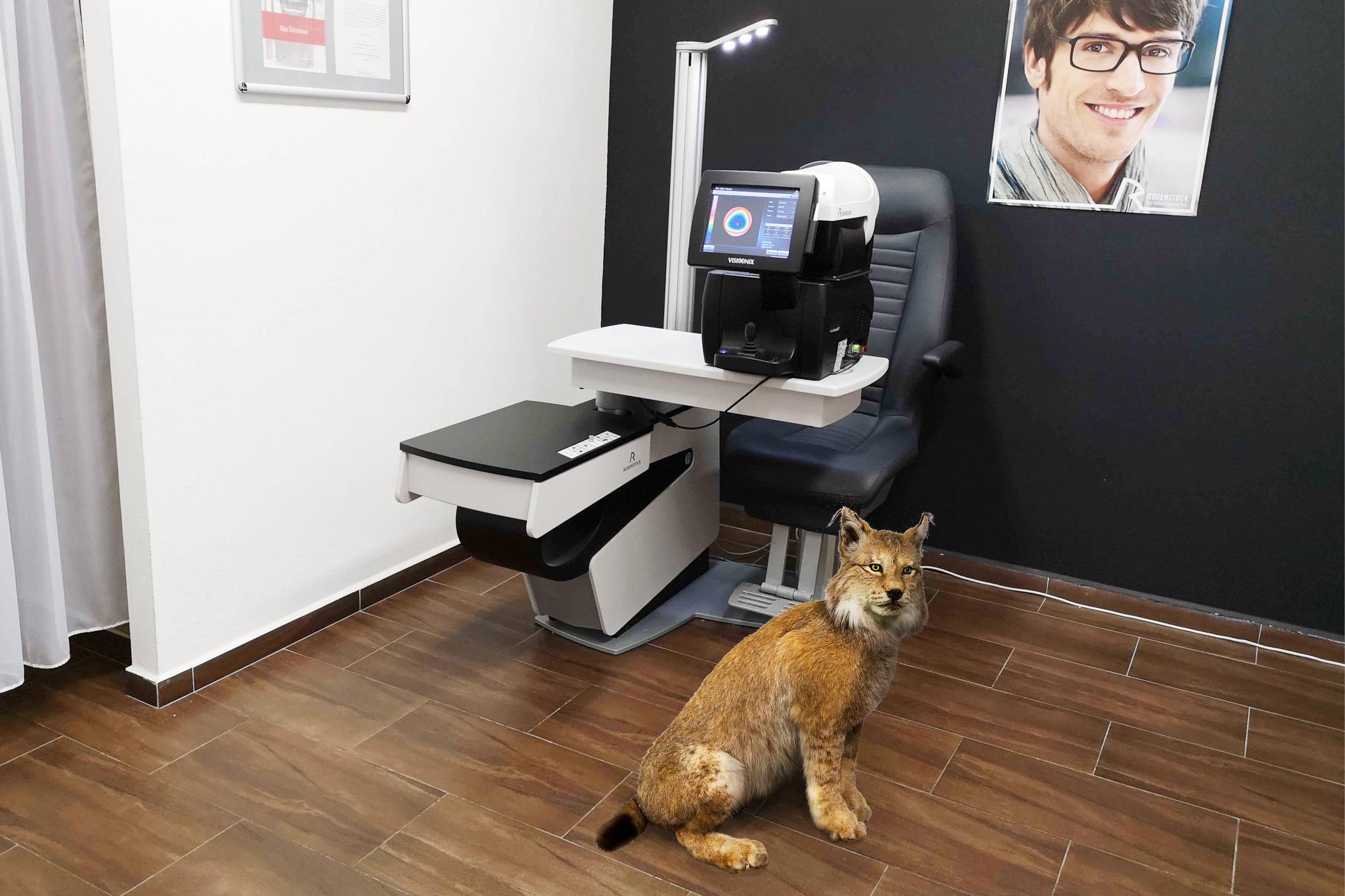 Oční optika OliOptik