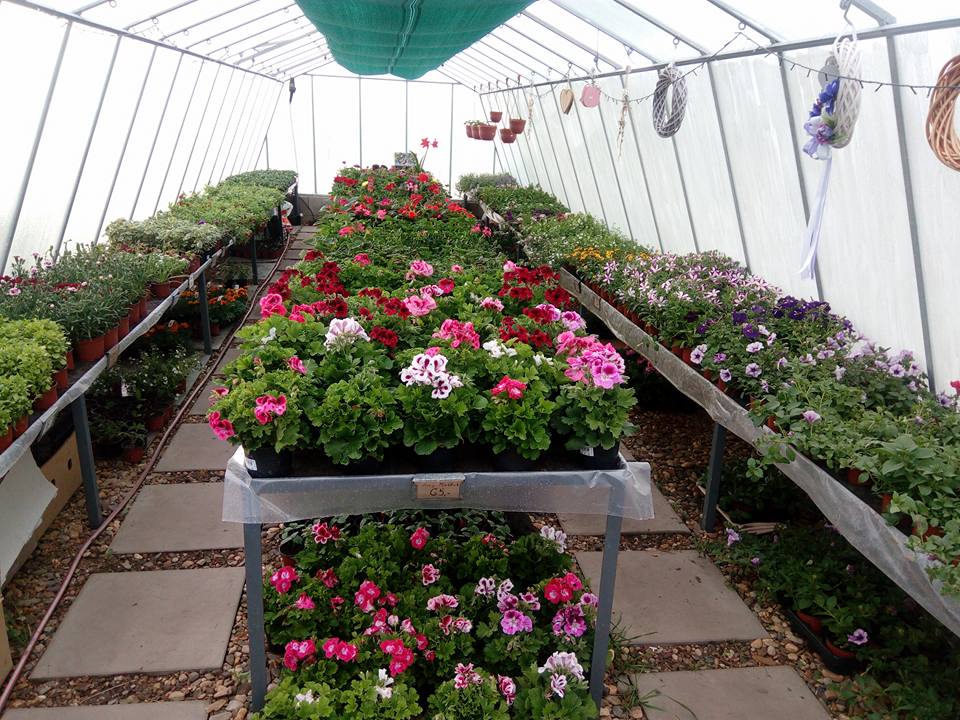 Zahradnictví Florana foto 2