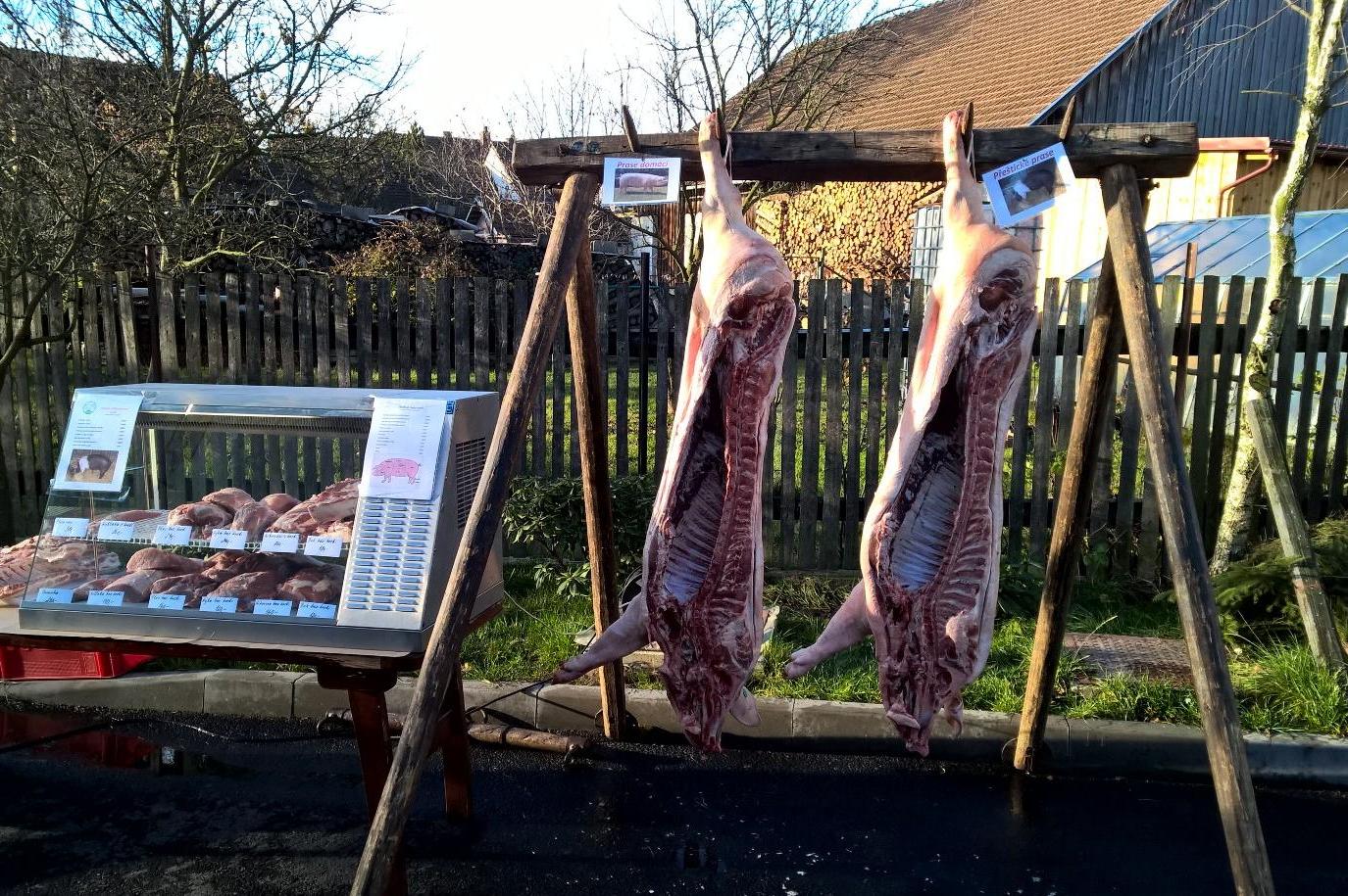 FARMA RODINY NĚMCOVY