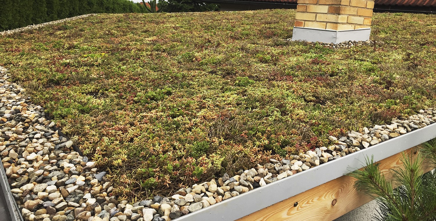 Živá střecha s.r.o. foto 3