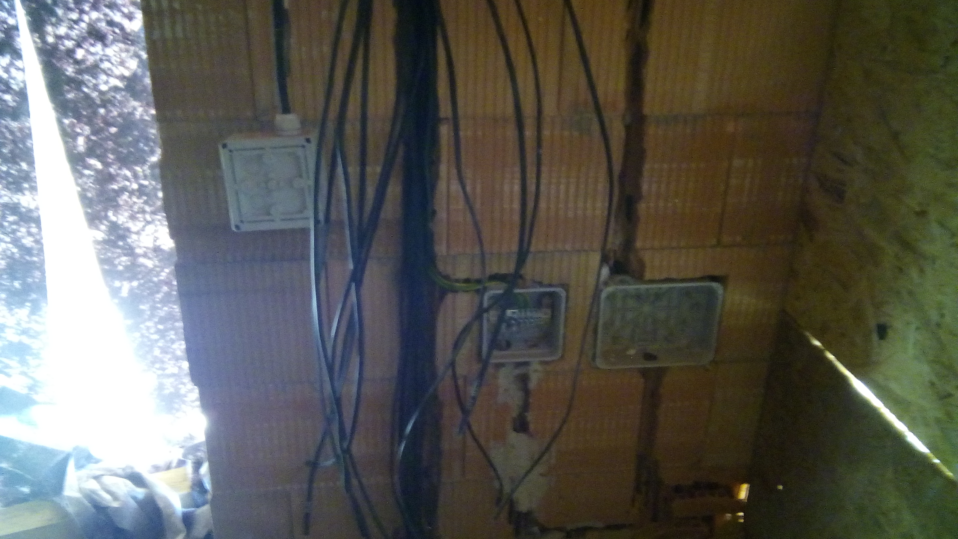 Kala-elektro foto 4