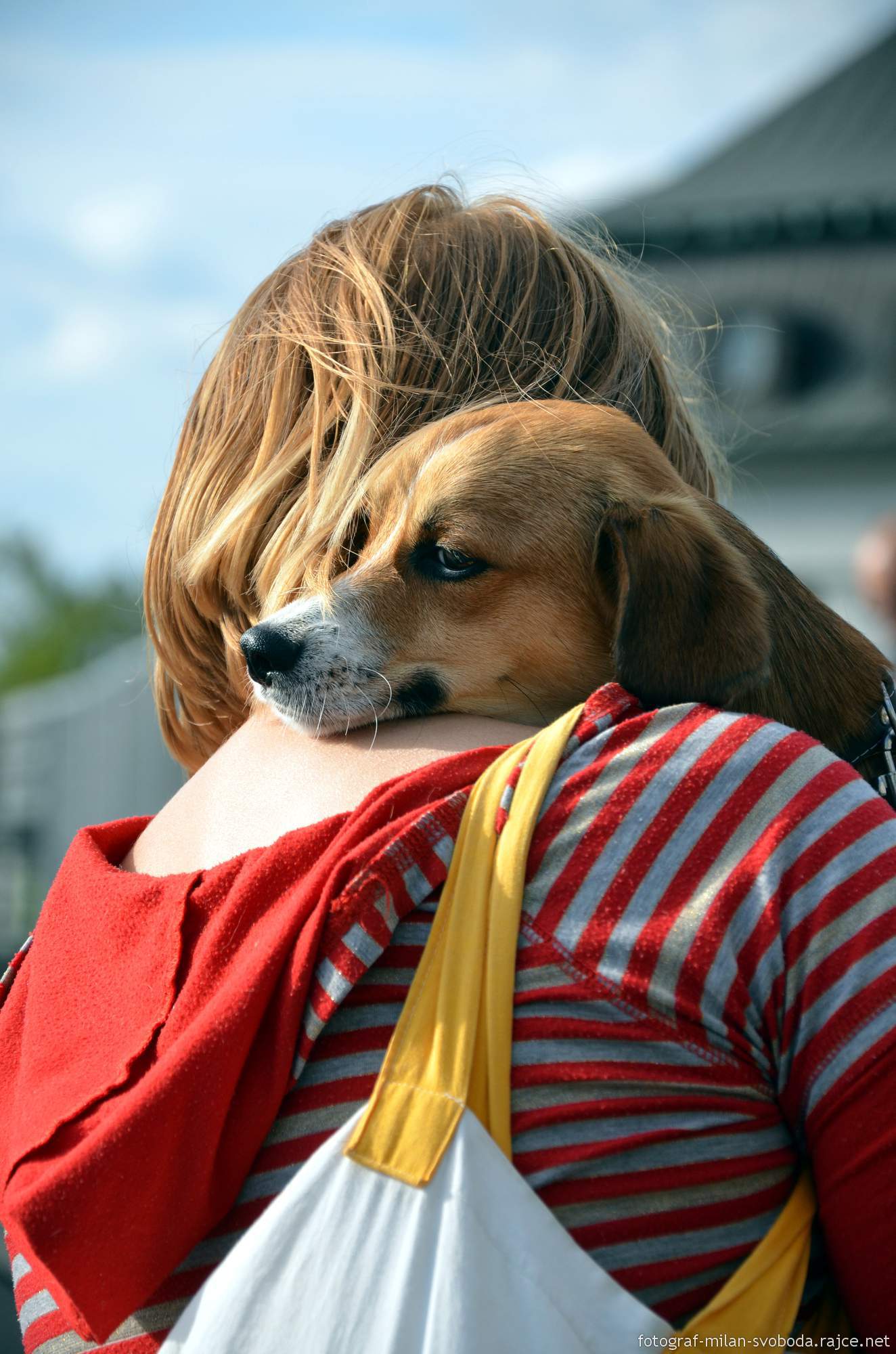 Psí škola Pohoda foto 3