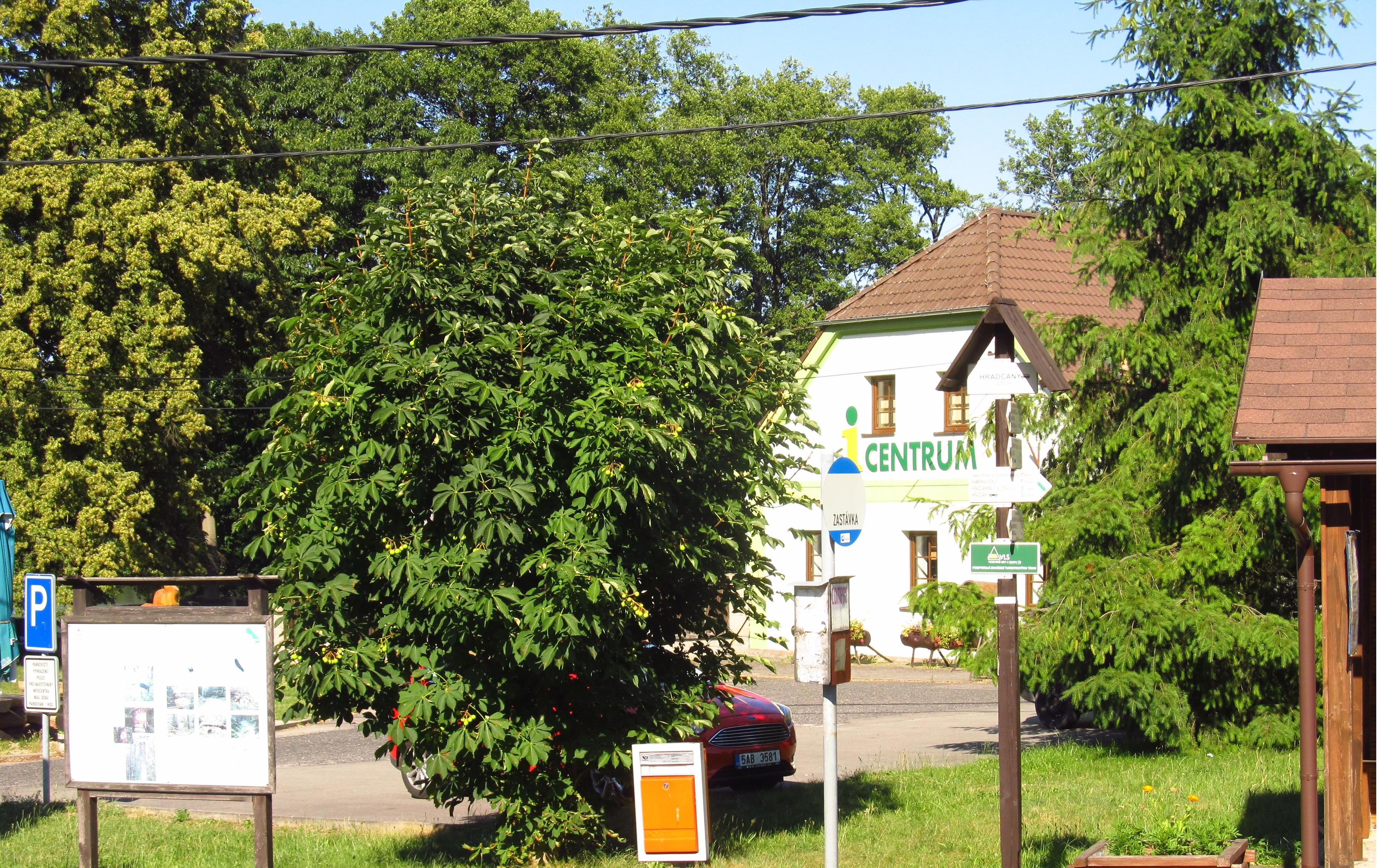 Informační centrum Ralsko – Hradčany foto 2