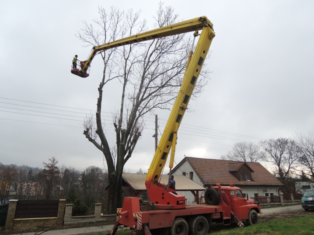 ARBOLINE.CZ foto 2
