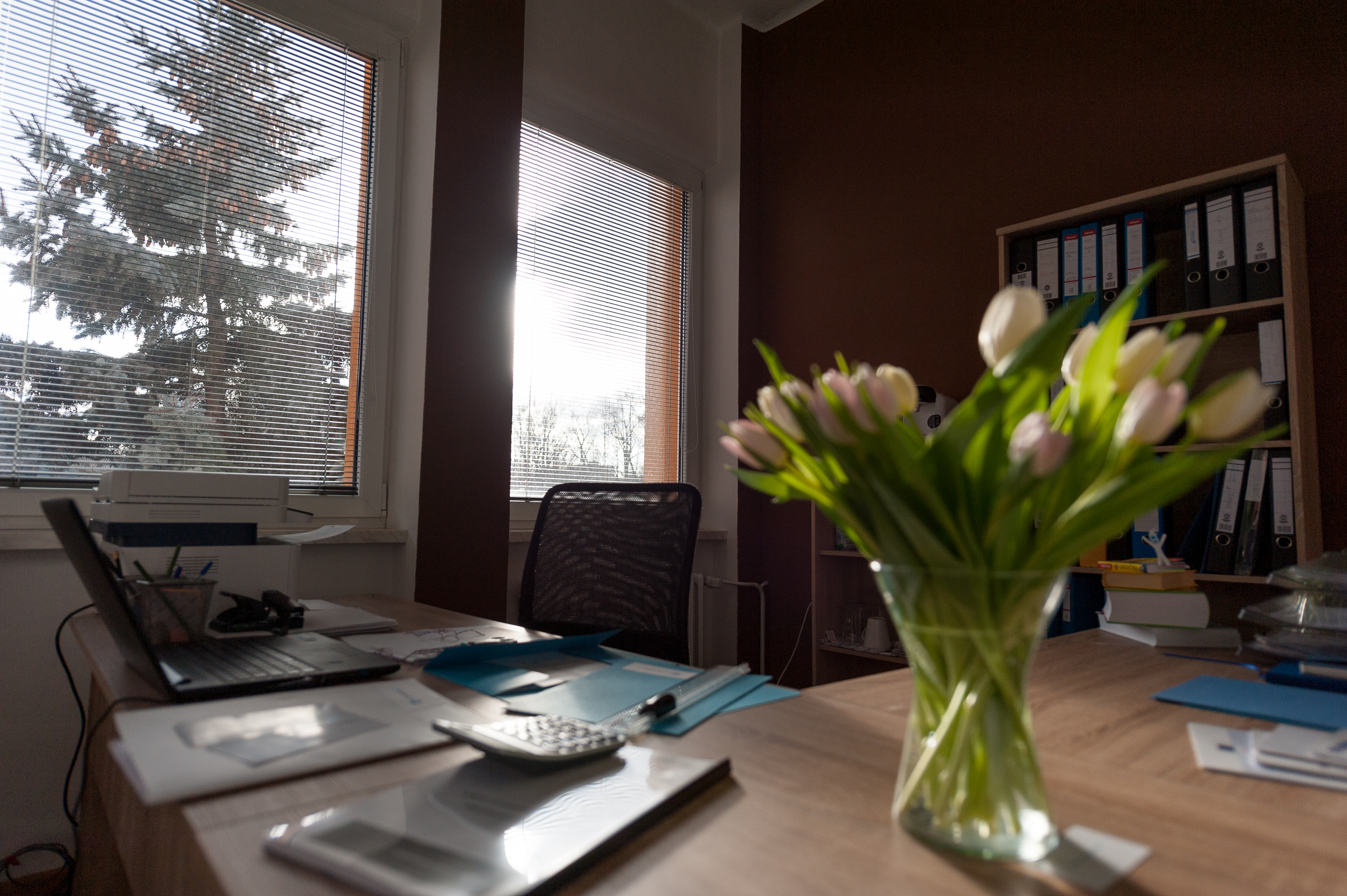 TEAM, jazykové služby, s.r.o foto 3