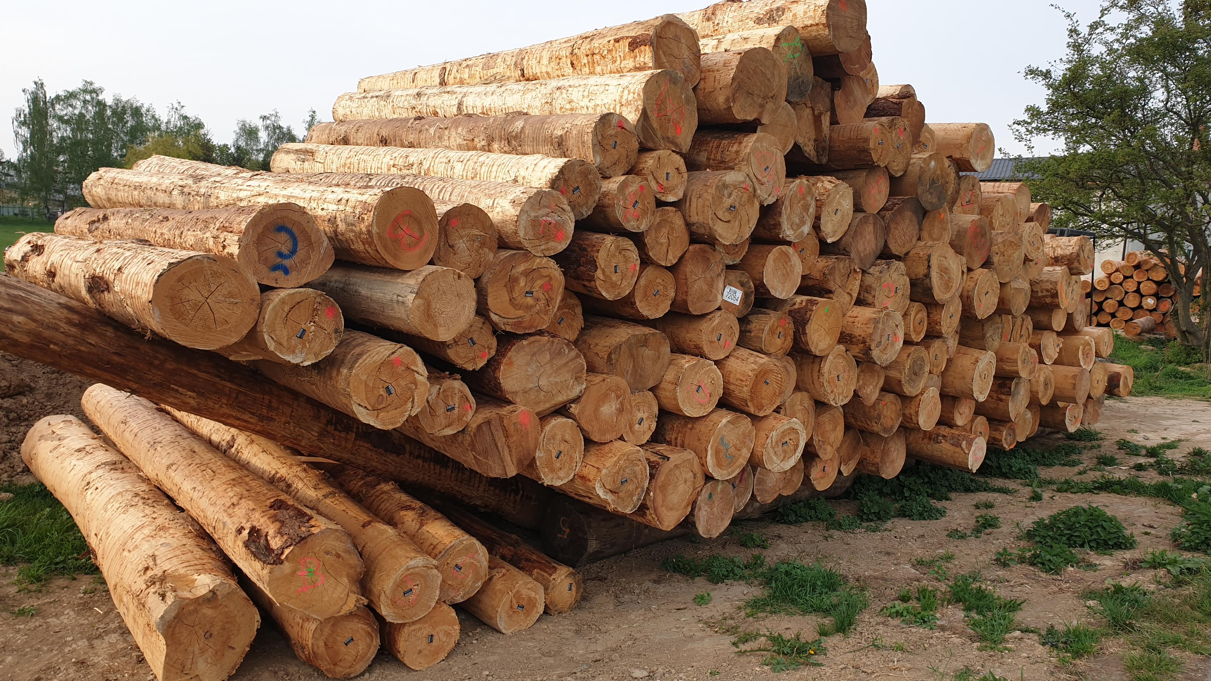 Palivové dřevo Litomyšl Pavel Pergler foto 4