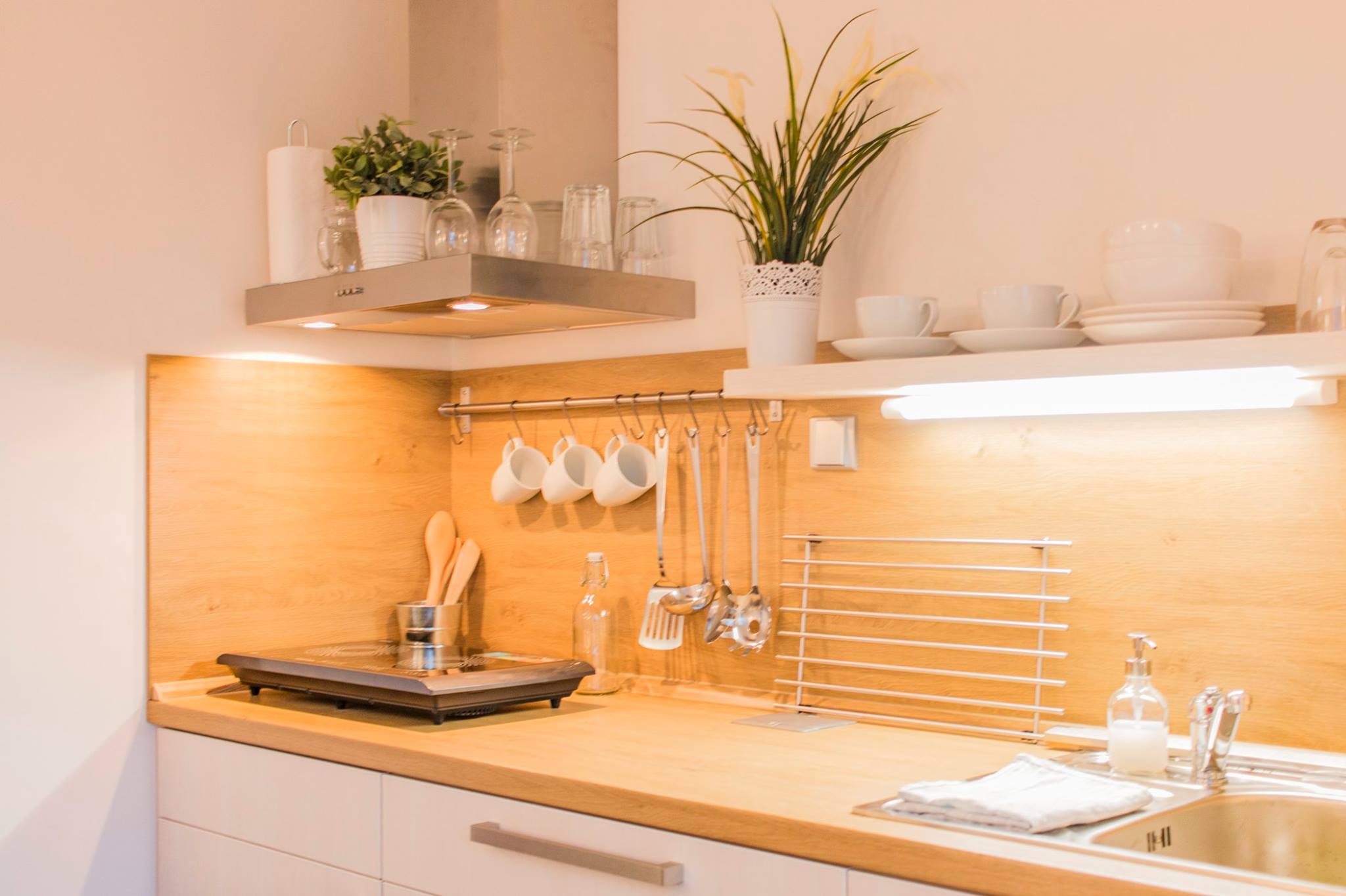 Ubytování v soukromí Králova výšina foto 2