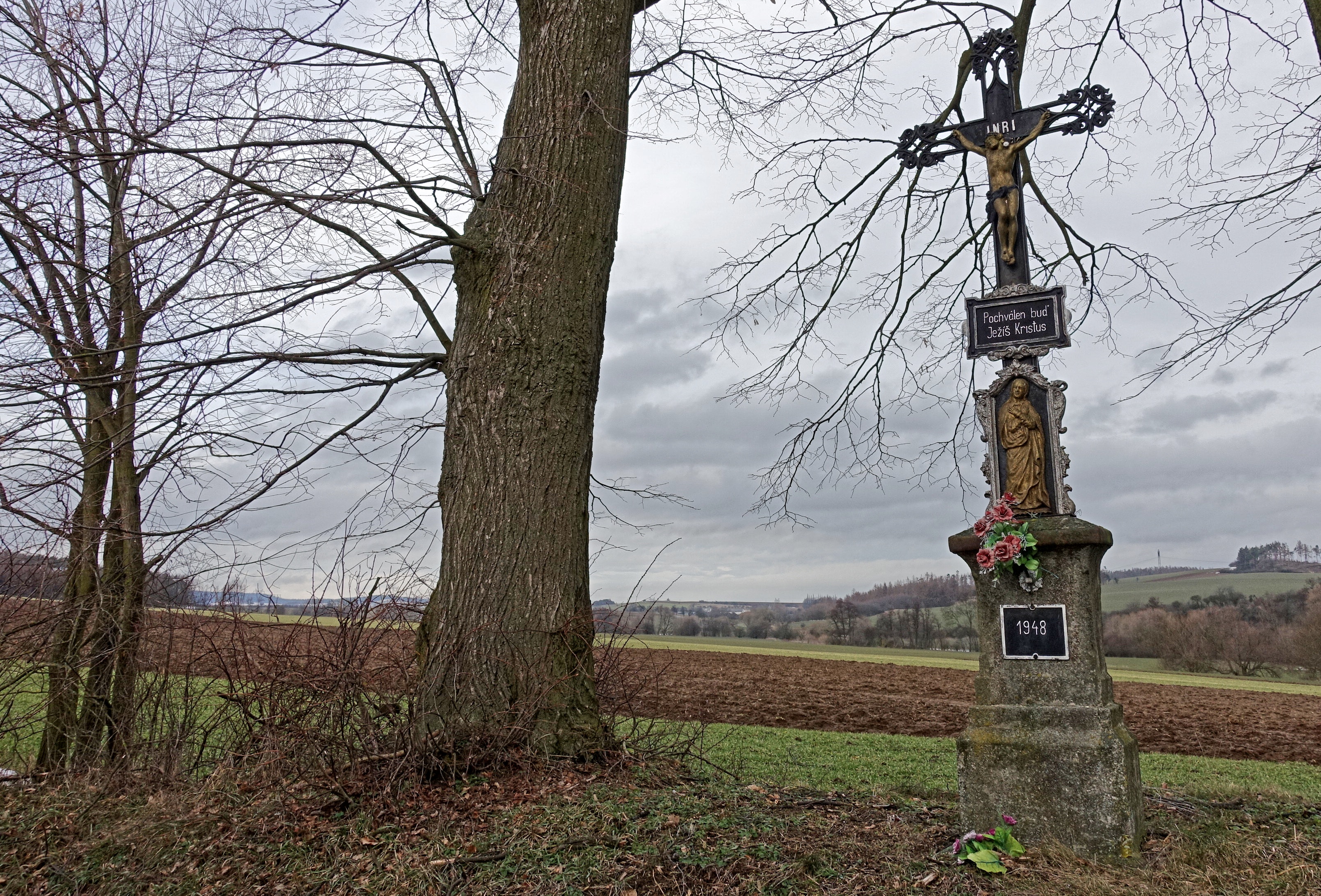 Obecní knihovna Šebkovice