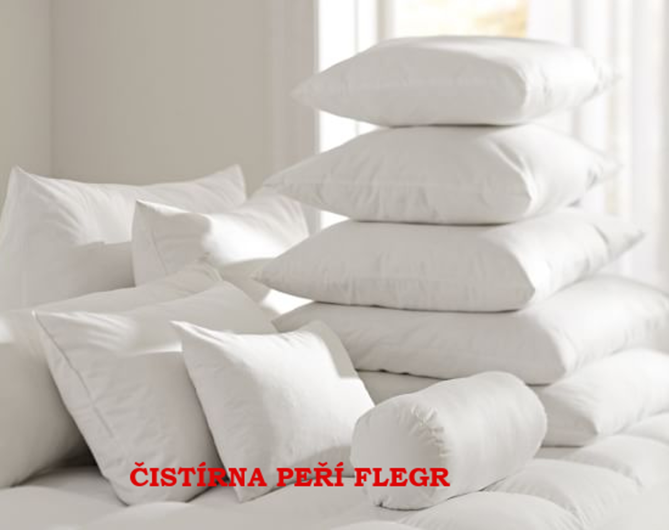 Čistírna peří - Milan Flegr foto 4
