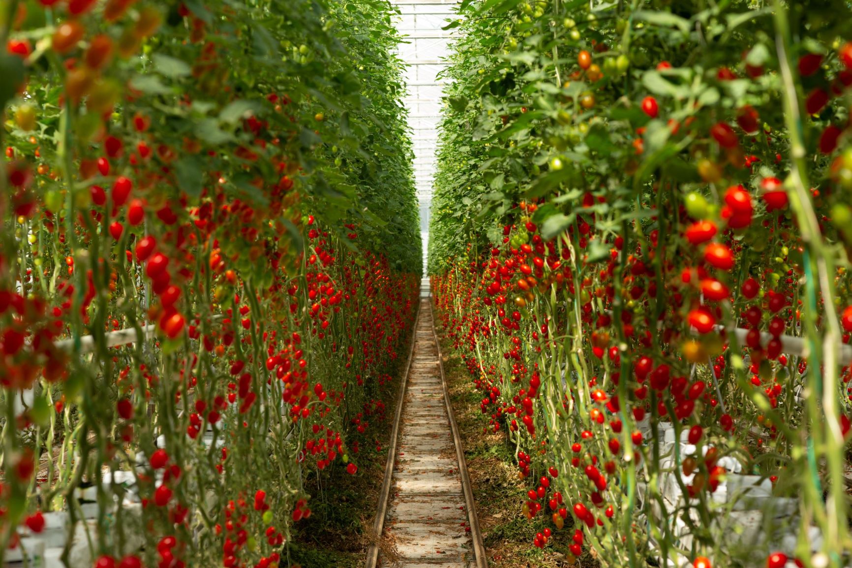 Farma Bezdínek foto 6
