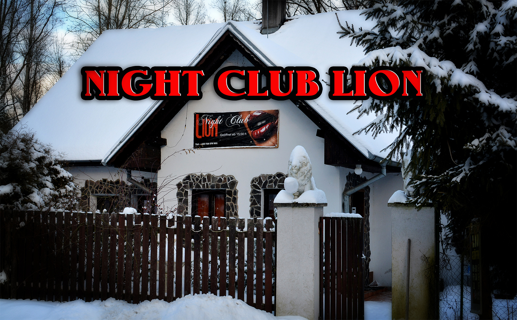 Night club Lion foto 2