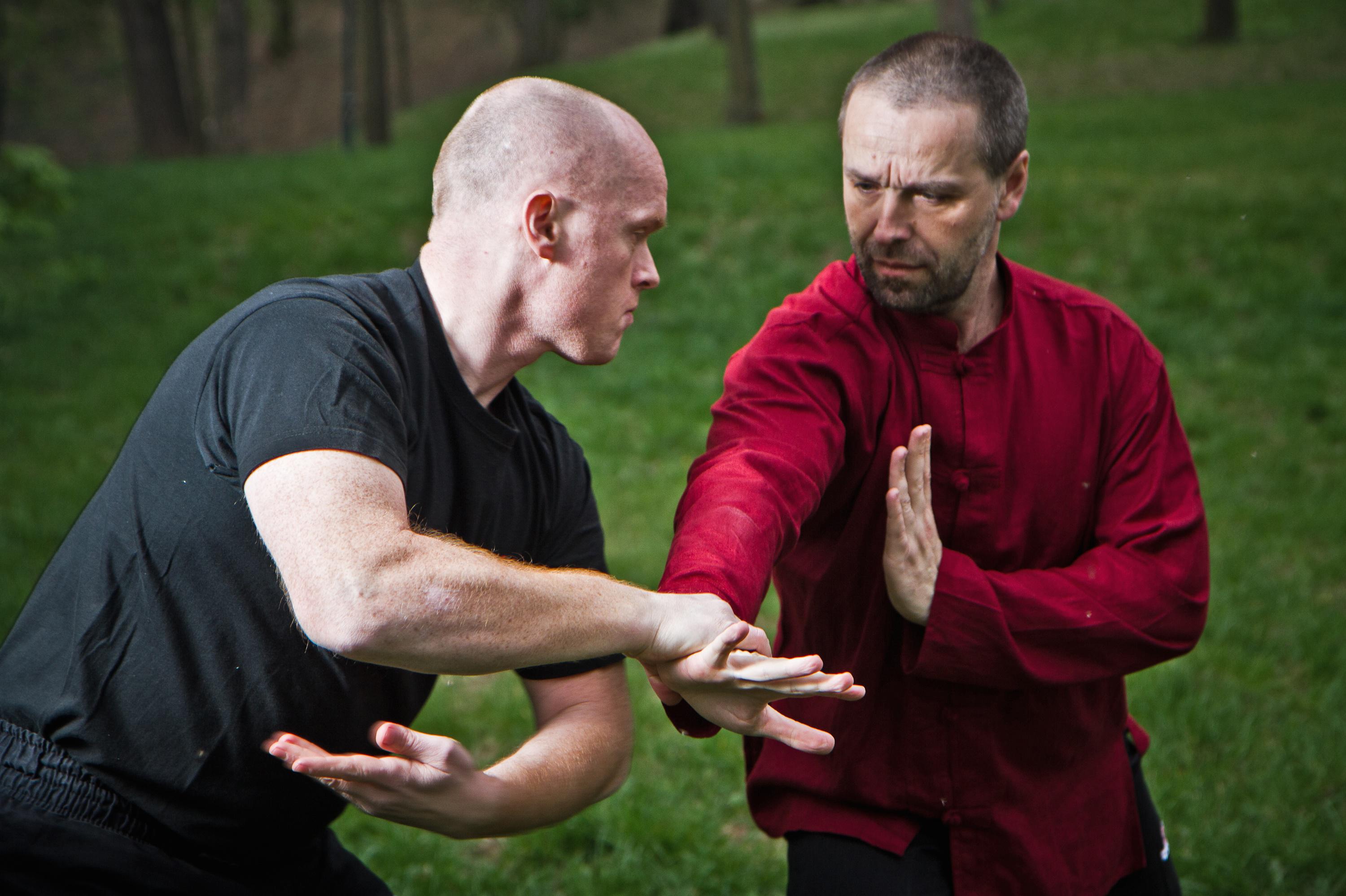 Tai Chi - Kung-fu Mgr. Zdeněk Kurfürst