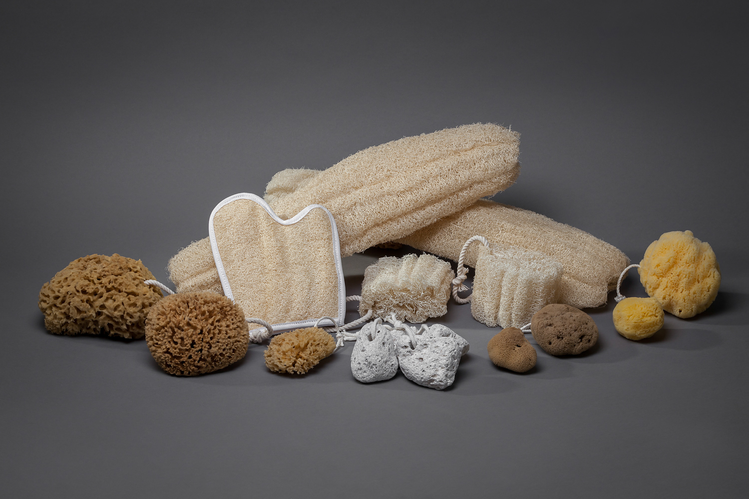 Artemis Sponges foto 2