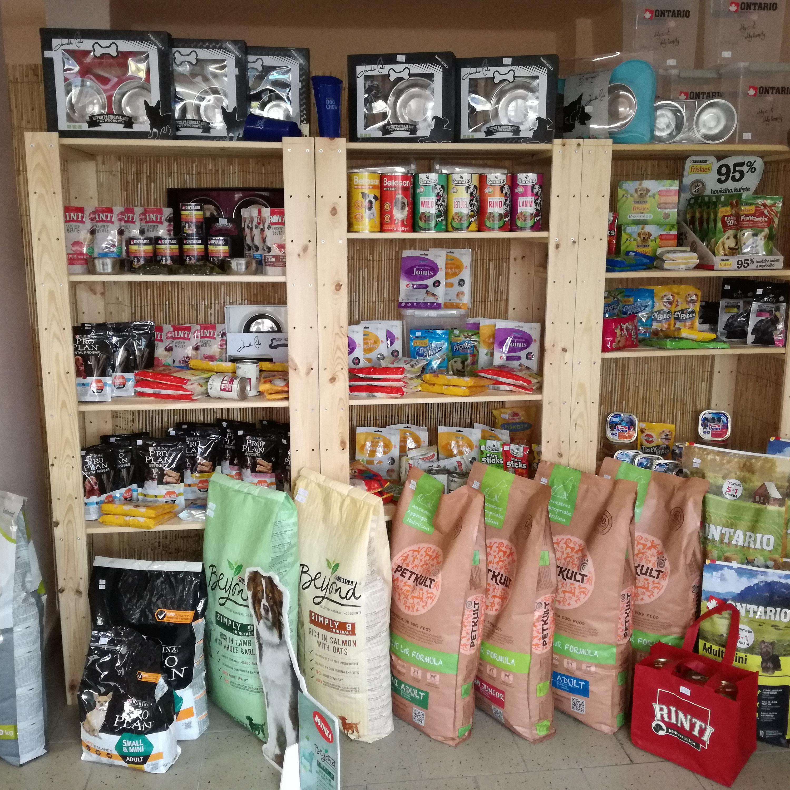 Petra Šlajsová foto 4