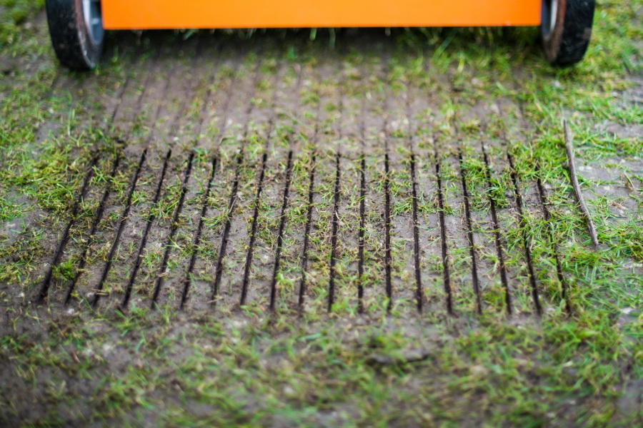 Profesionální vertikutace trávníku