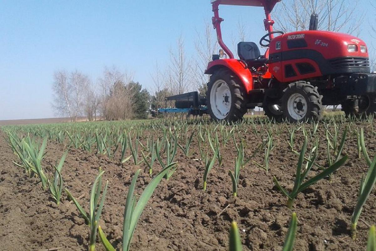 Hanácký česnek.cz