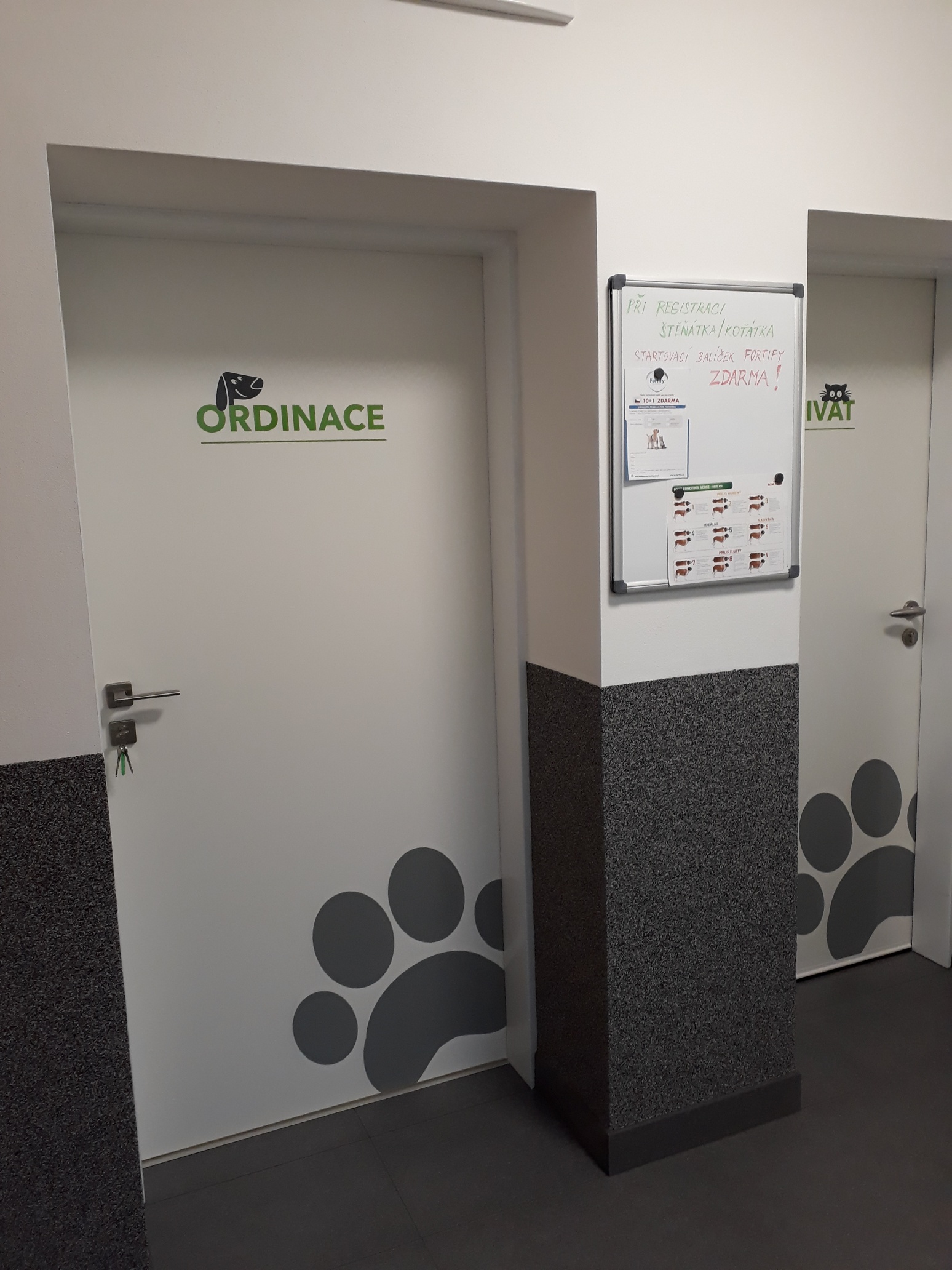 Veterinární ordinace Pod Hradem - MVDr. Pavlína Stoklásková foto 6